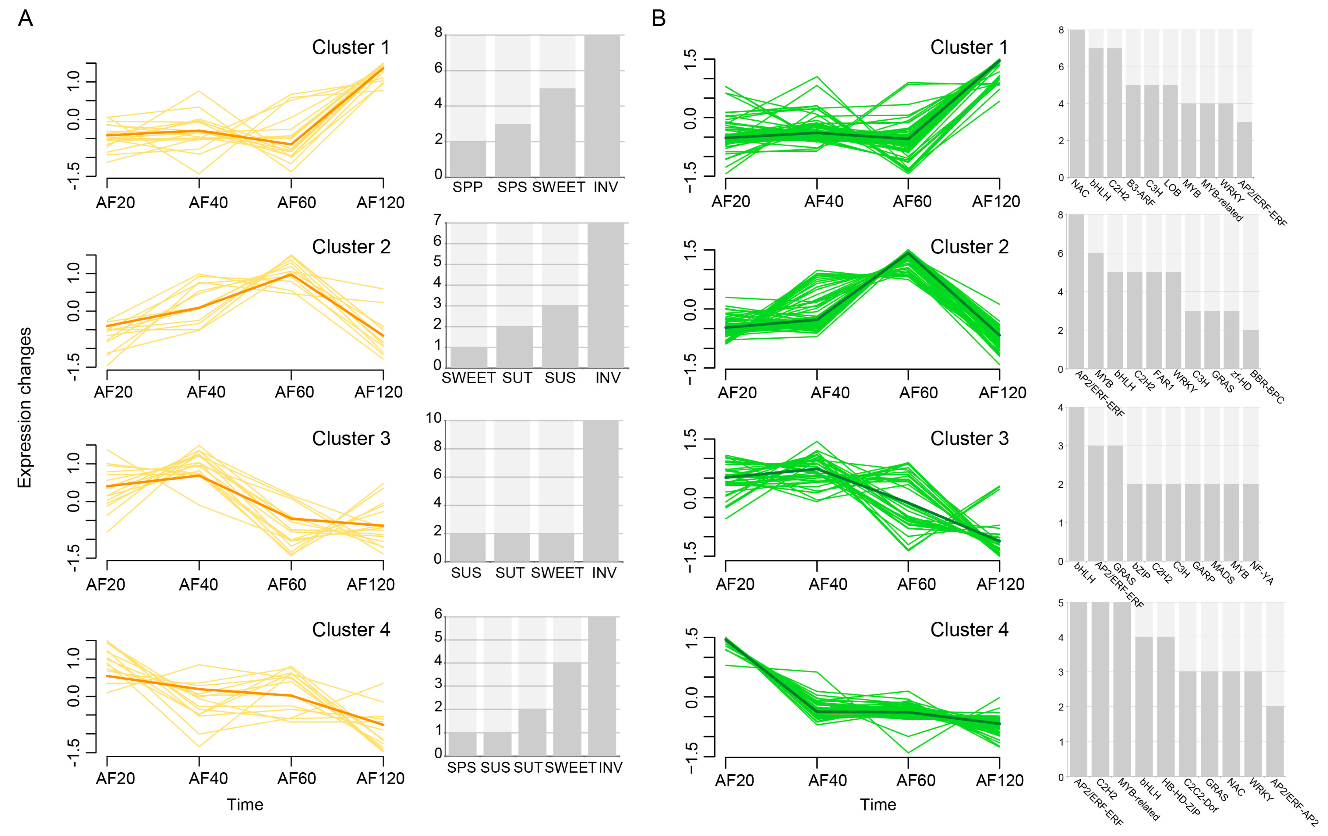 Horticulturae 10 00772 g006