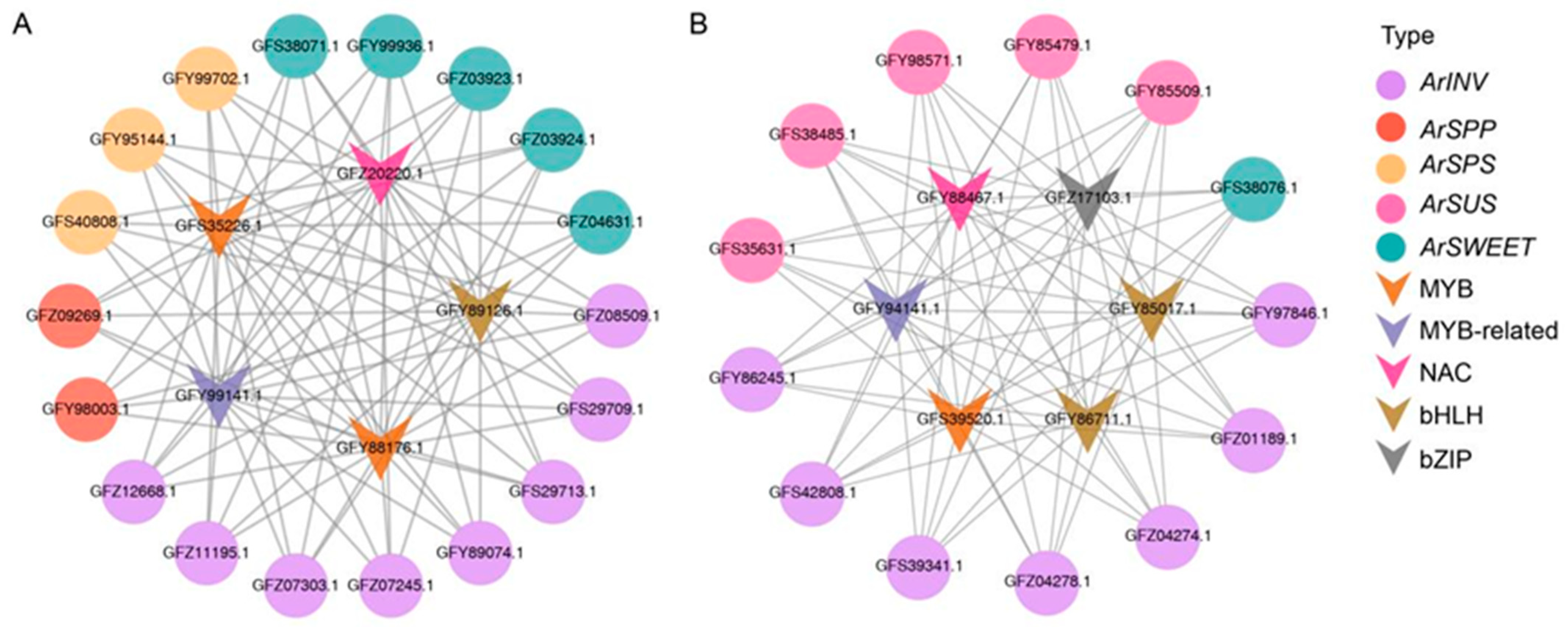 Horticulturae 10 00772 g007