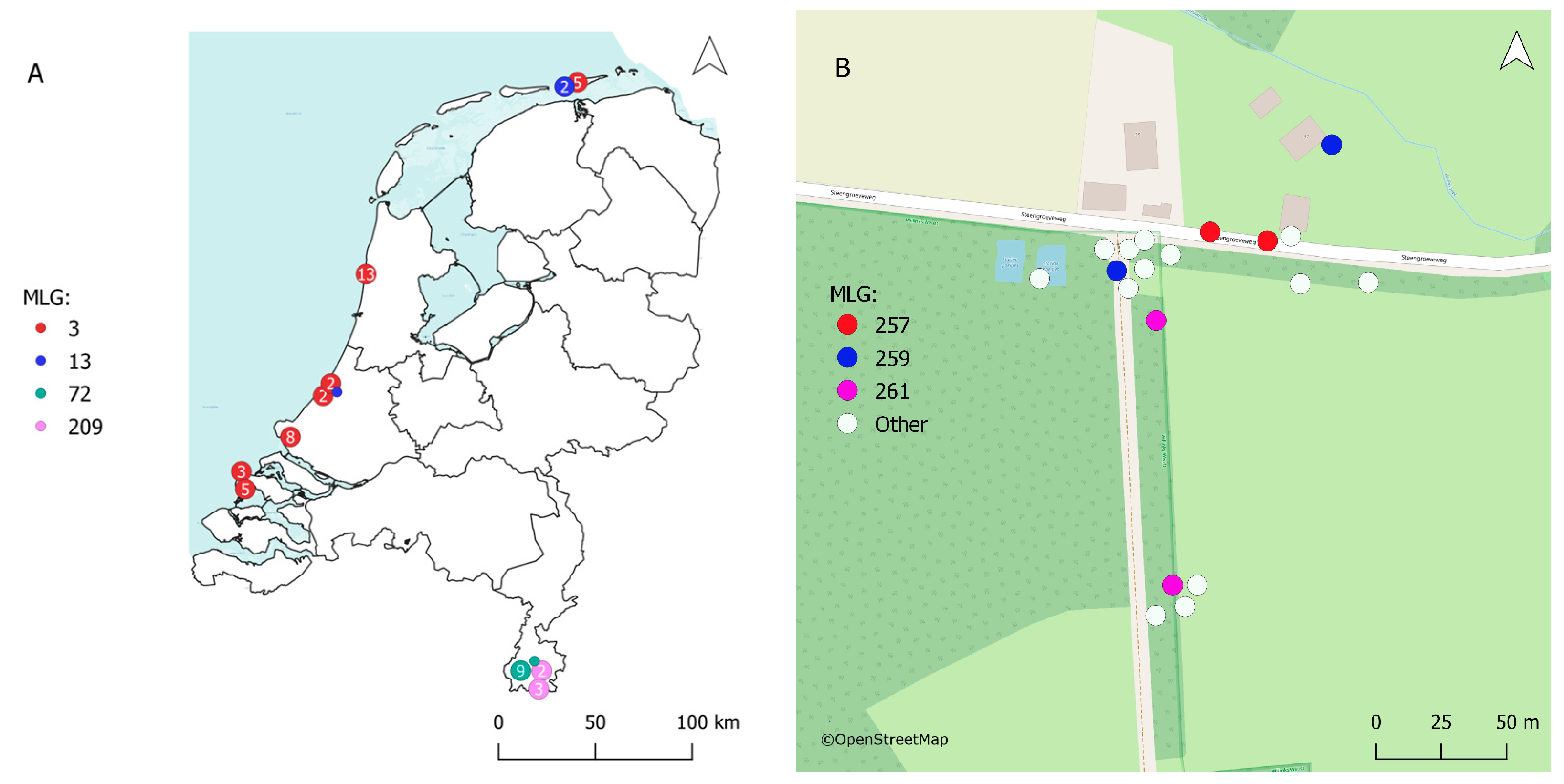 Horticulturae 10 00777 g002 Horticulturae 10 00777 g002