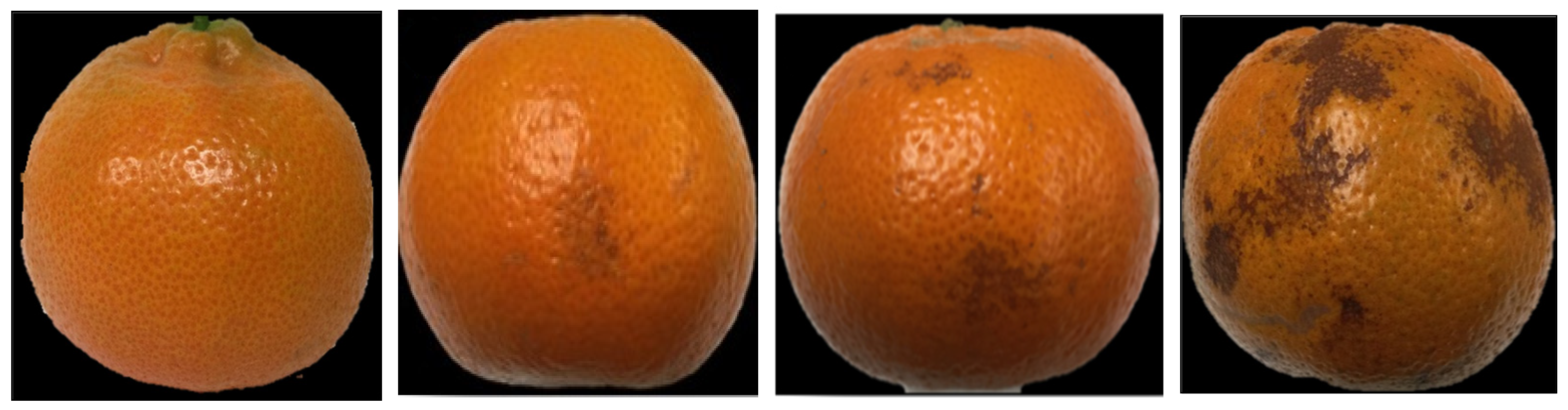 Horticulturae 10 00782 g001