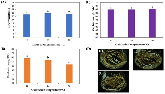 Horticulturae 10 00788 g006