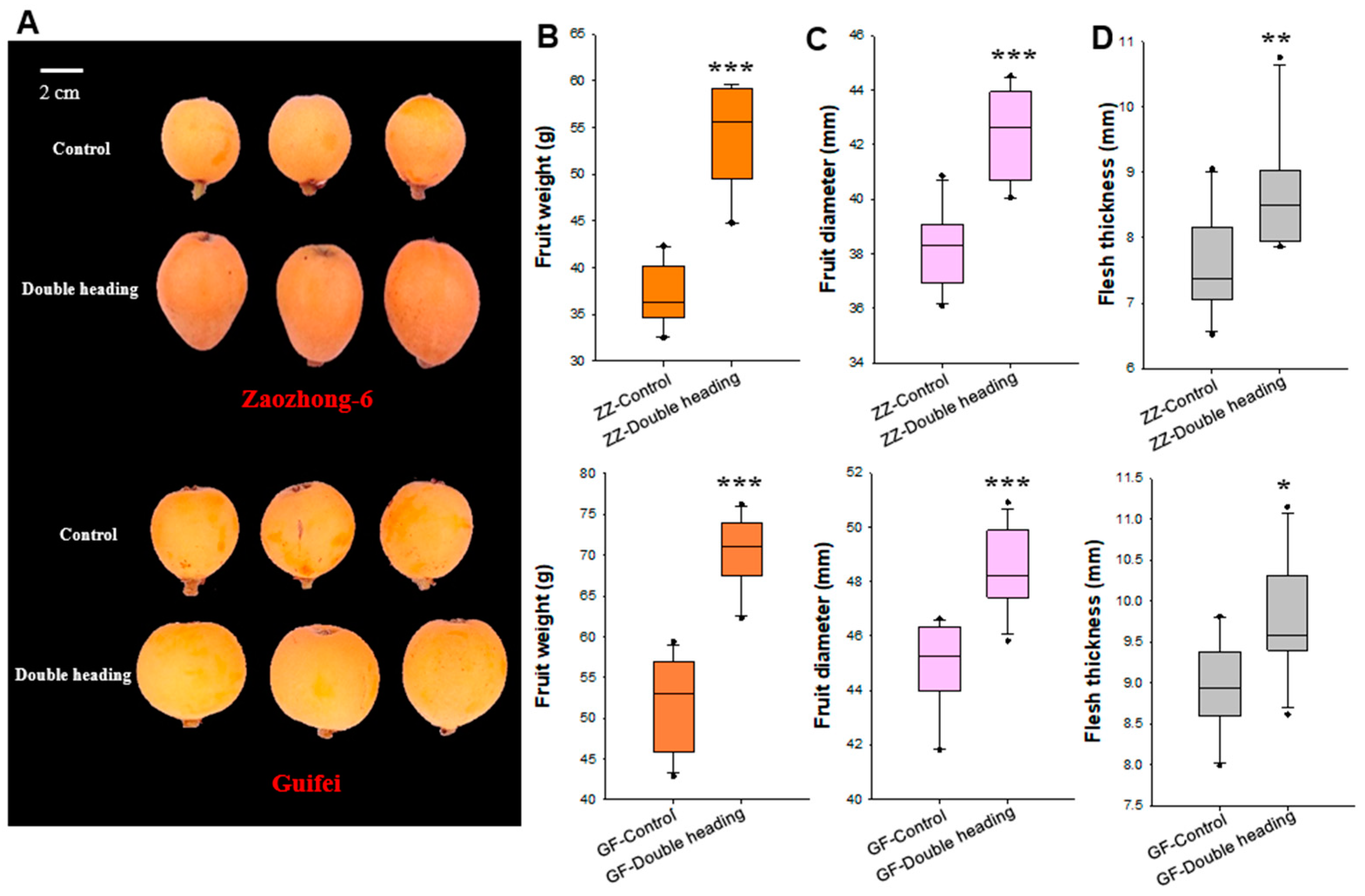 Horticulturae 10 00793 g003
