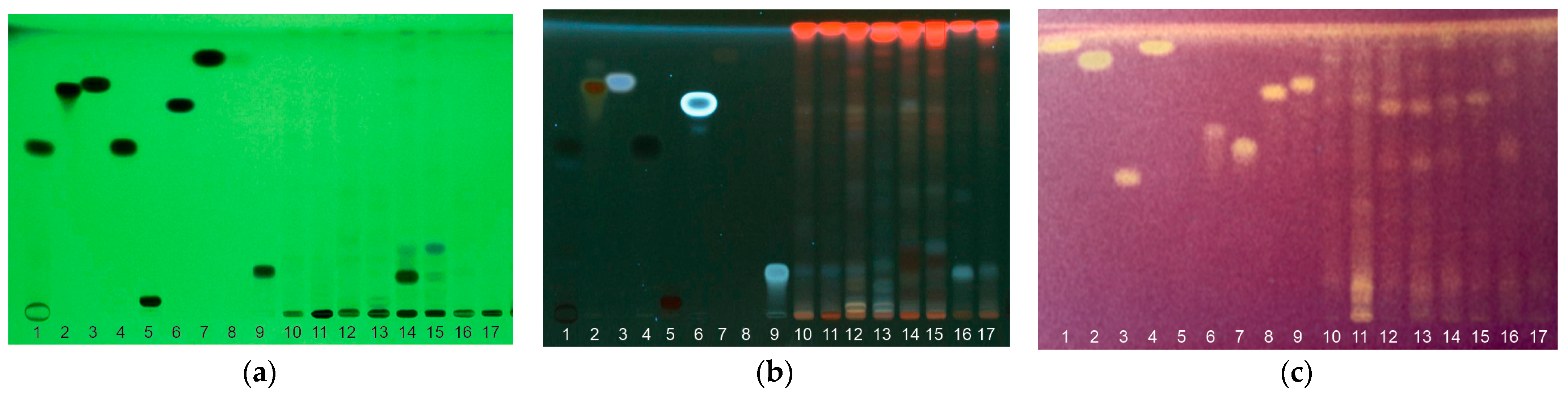 Horticulturae 10 00799 g004