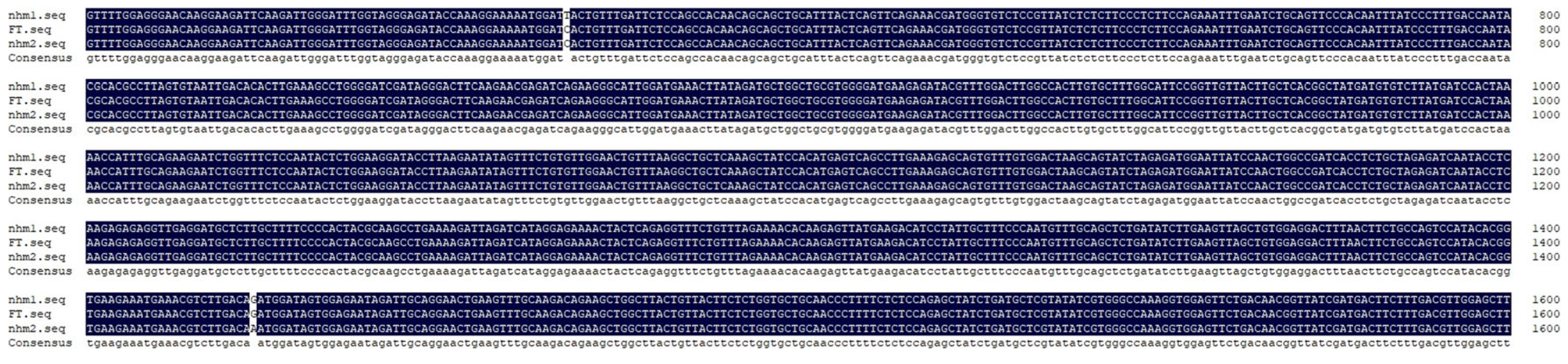 Horticulturae 10 00804 g003 Horticulturae 10 00804 g003