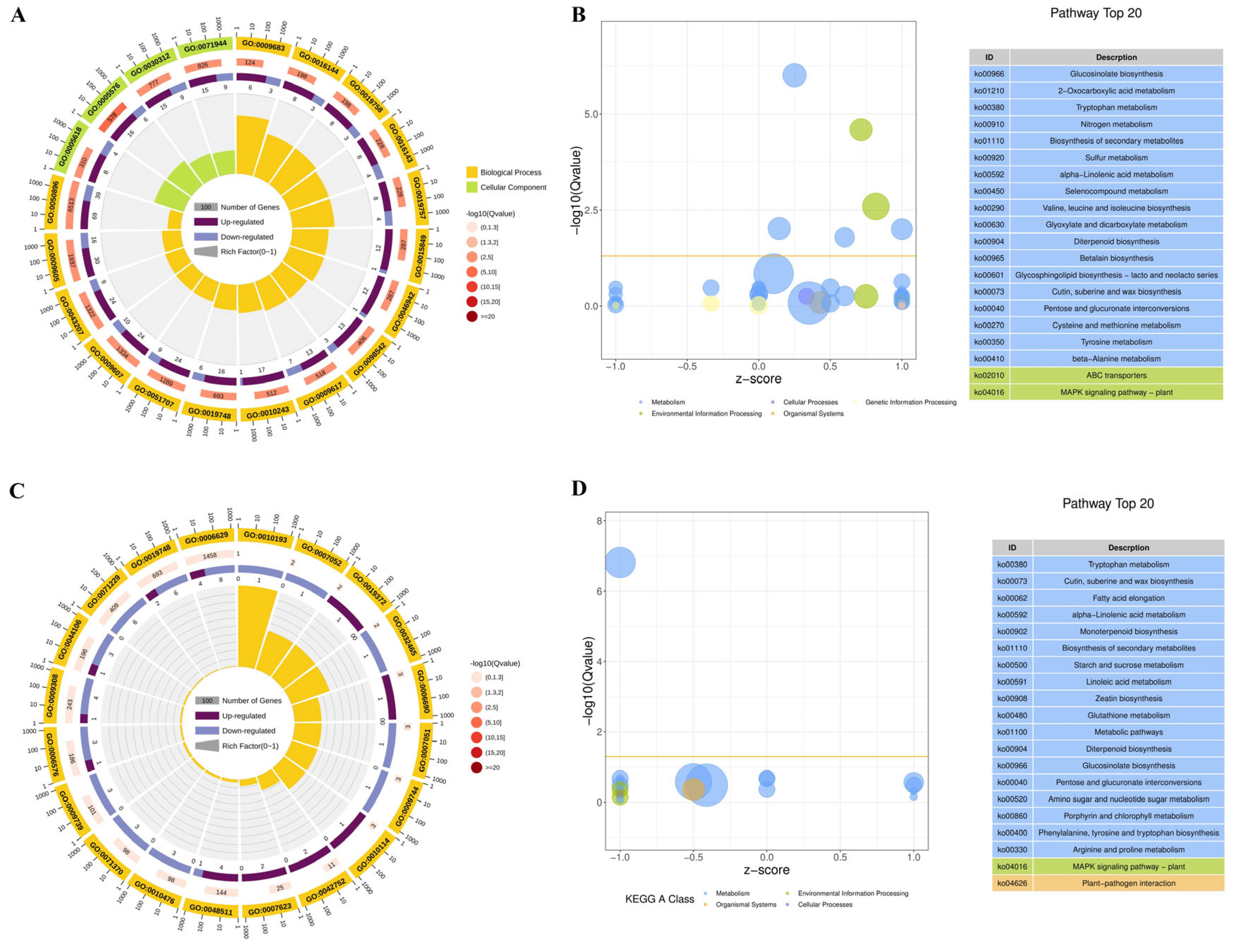 Horticulturae 10 00804 g007 Horticulturae 10 00804 g007