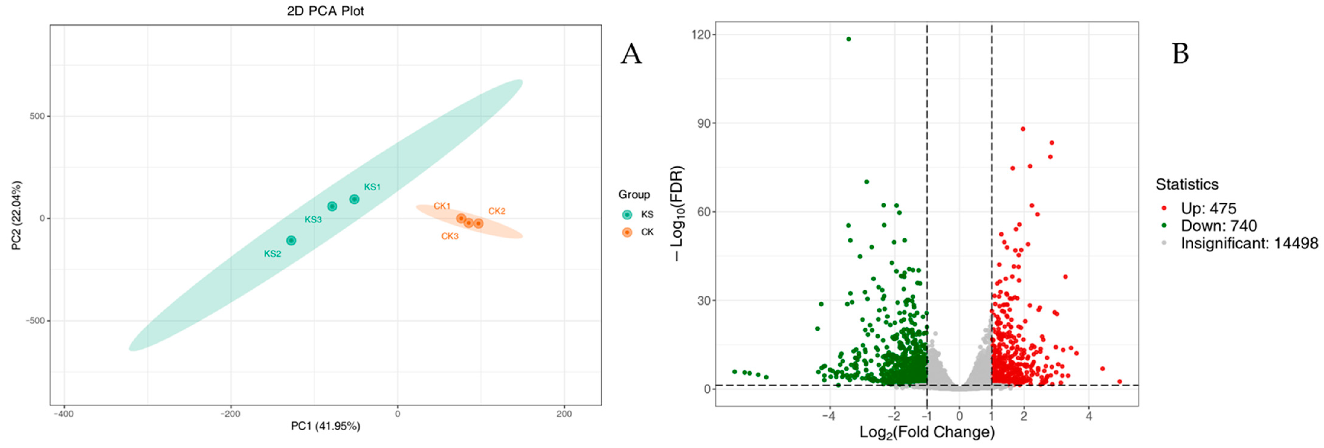 Horticulturae 10 00807 g004