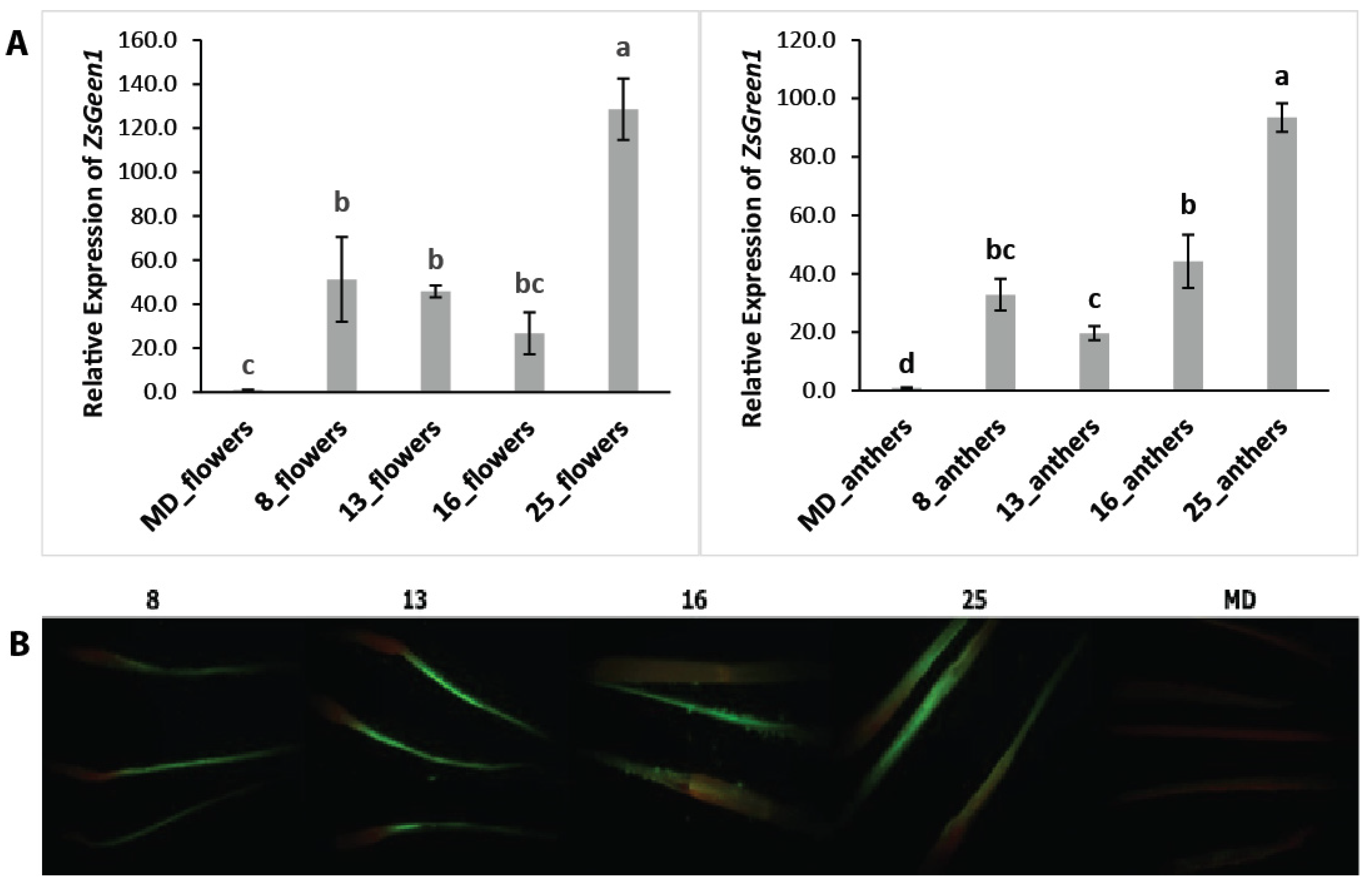 Horticulturae 10 00810 g009