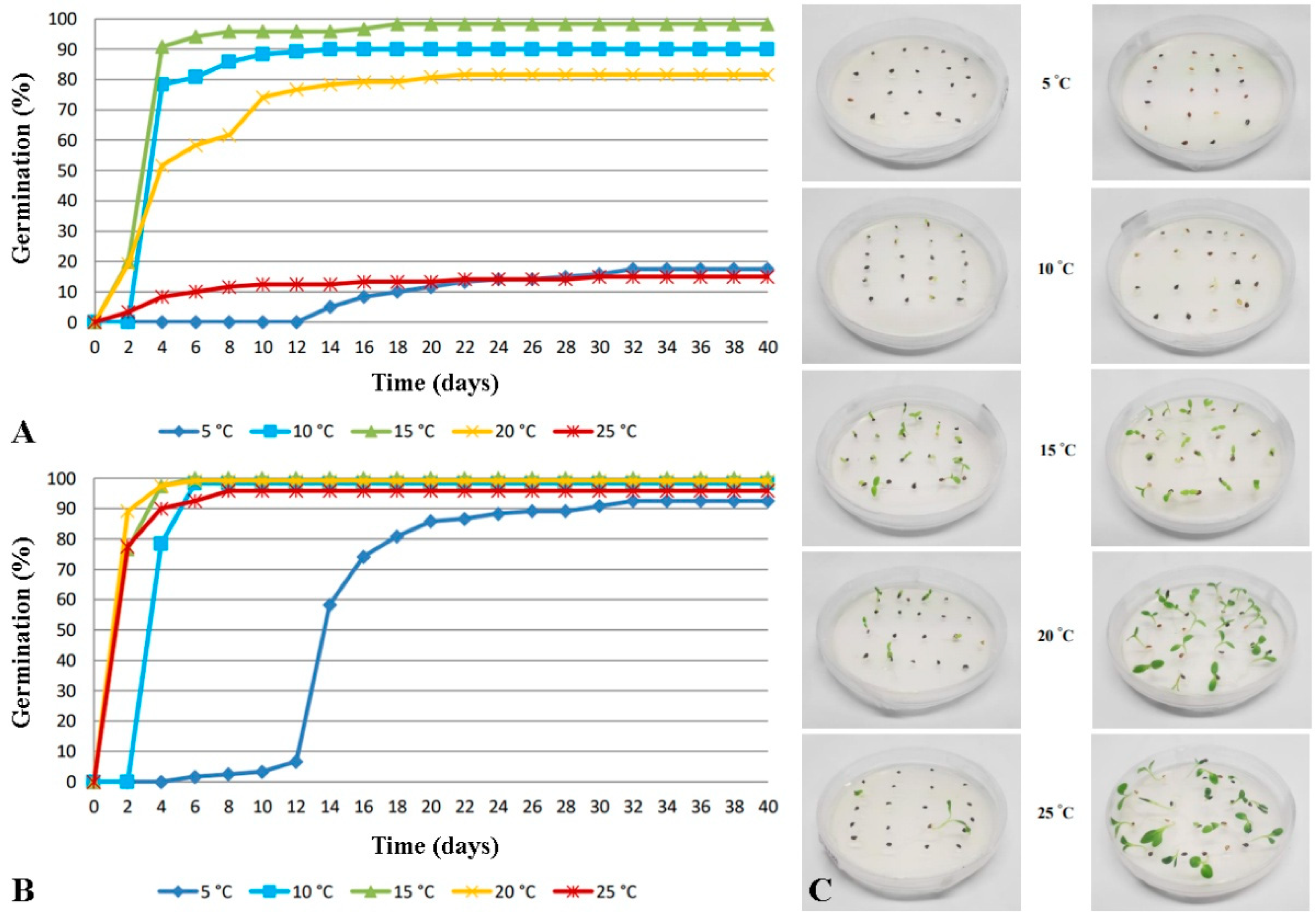 Horticulturae 10 00813 g002
