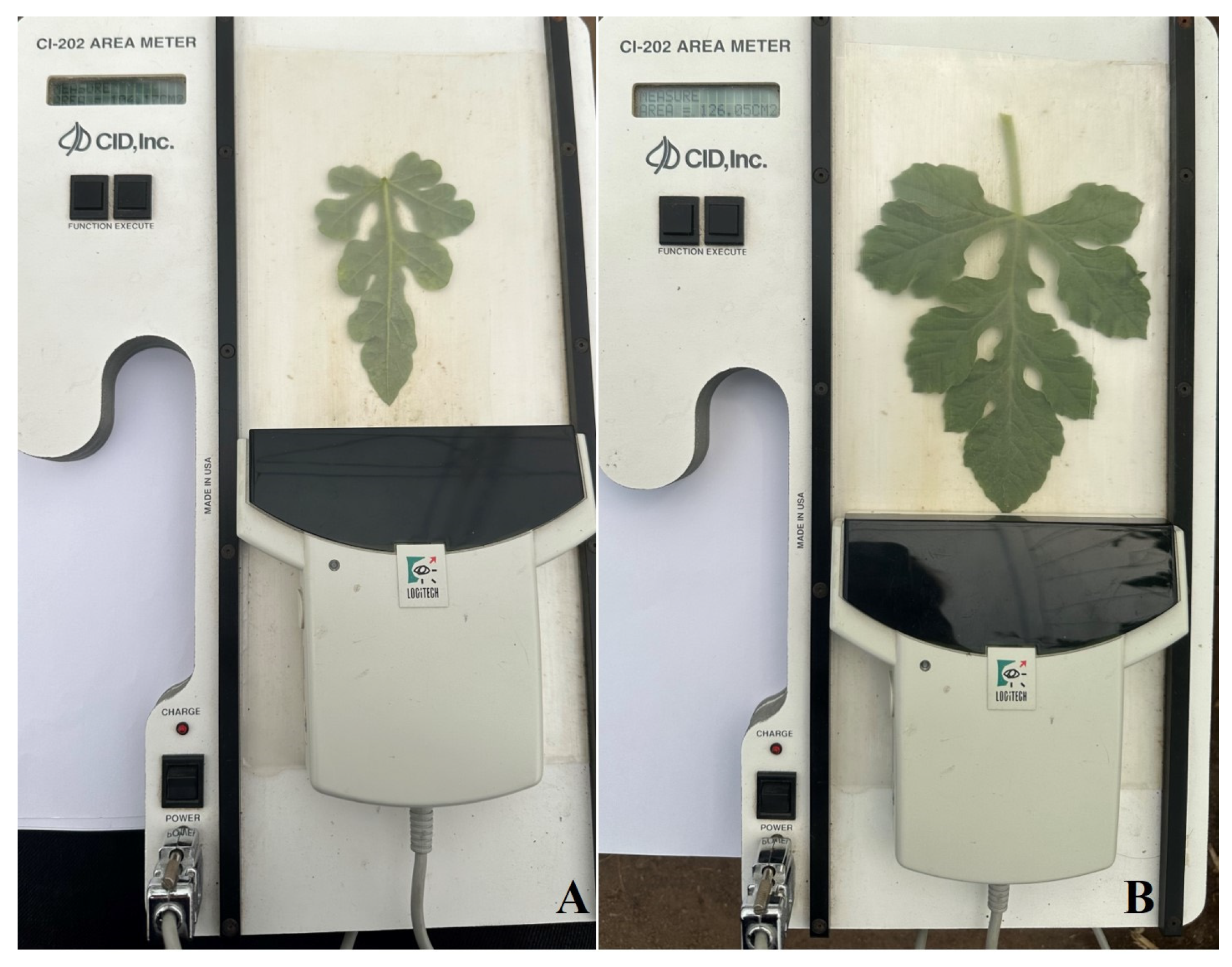 Horticulturae 10 00818 g004