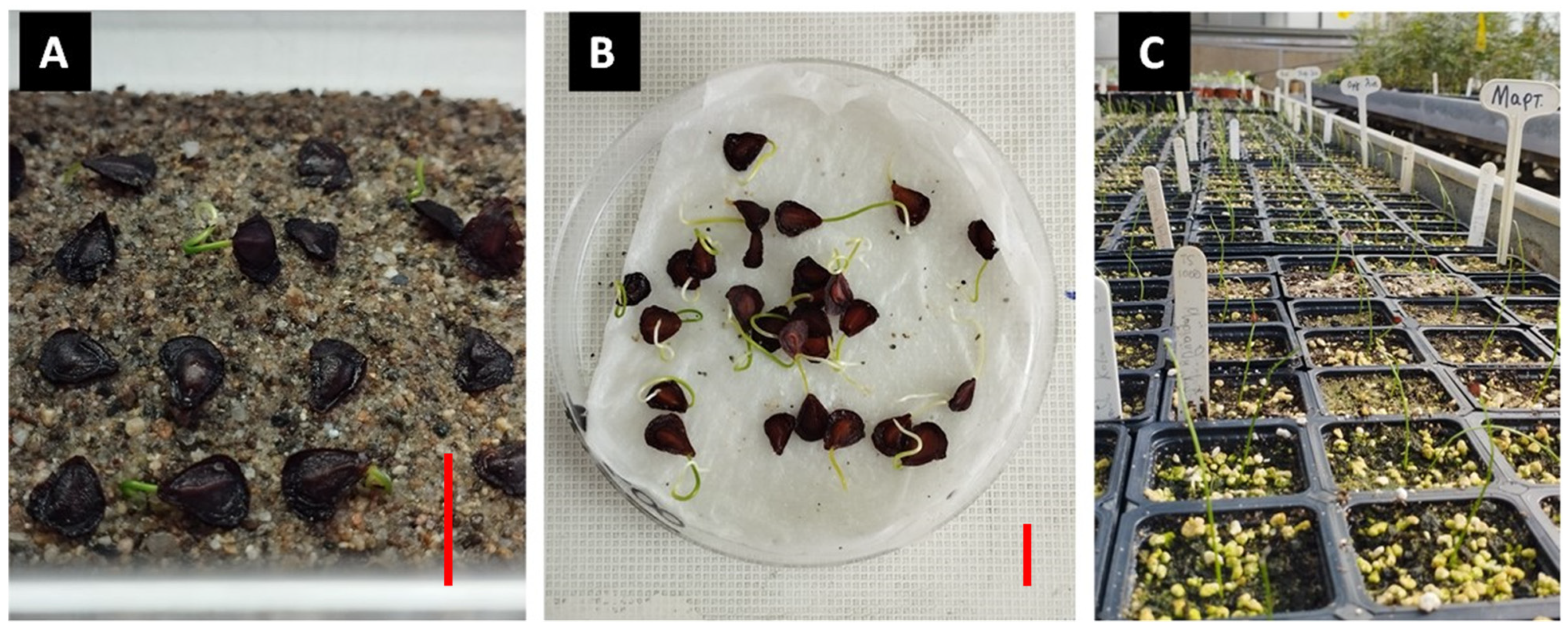 Horticulturae 10 00820 g003