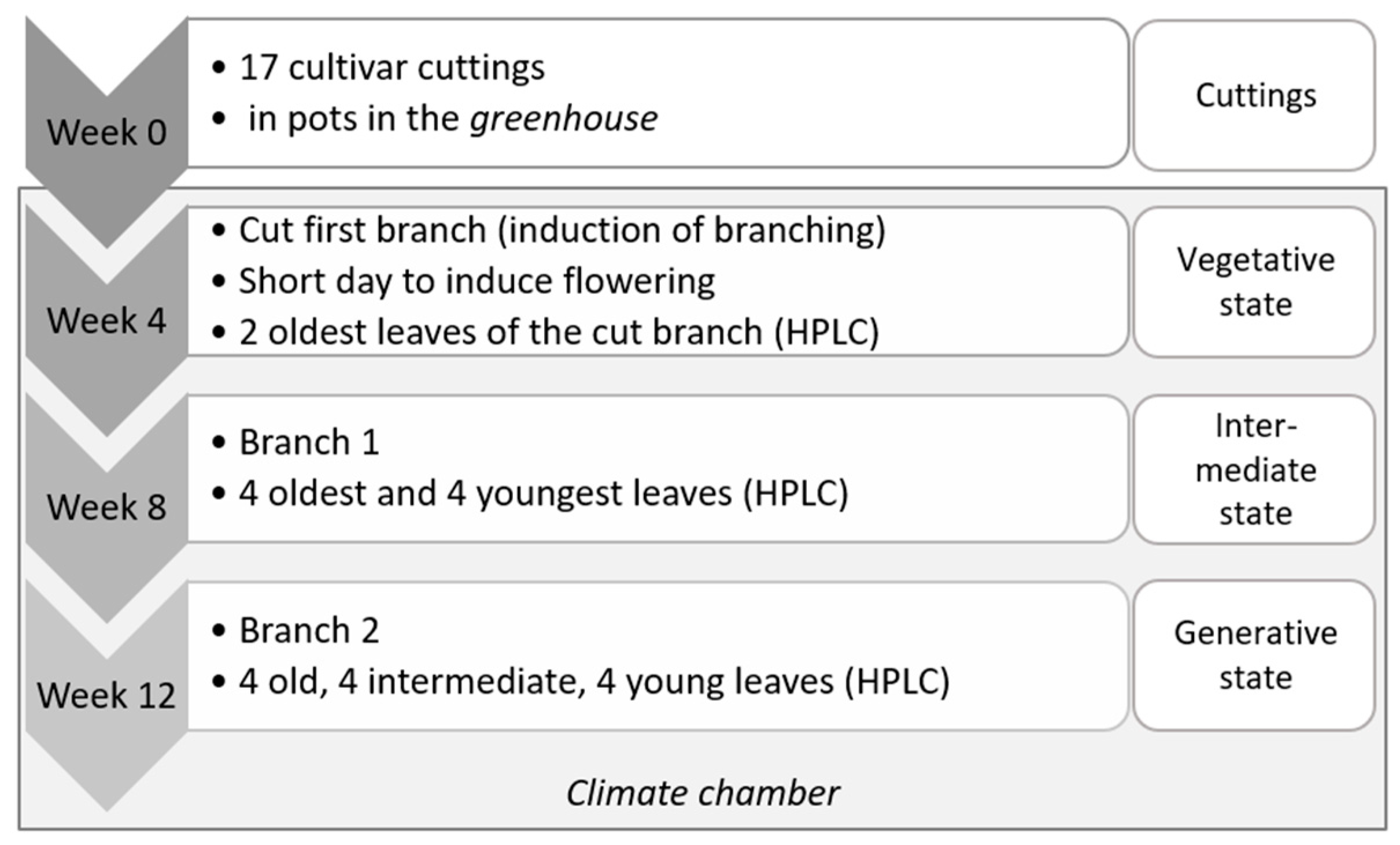Horticulturae 10 00822 g001