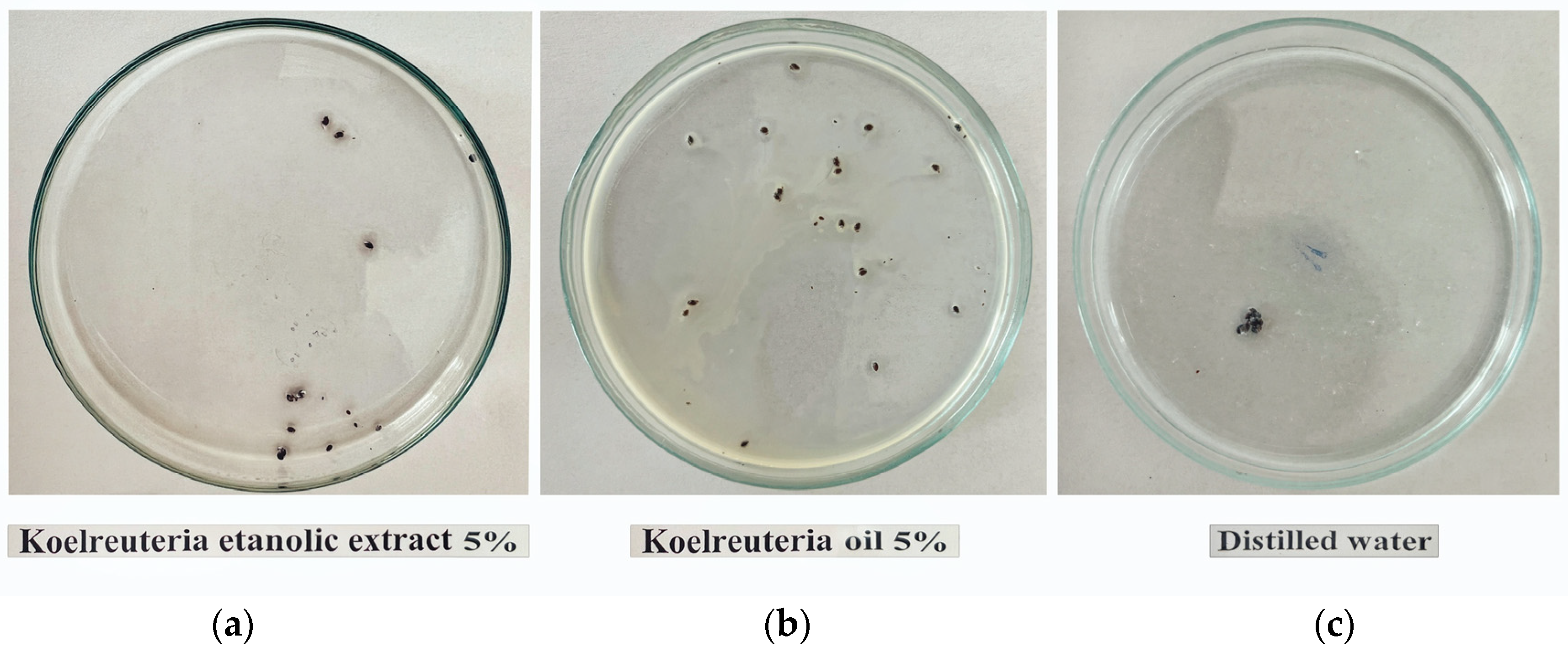 Horticulturae 10 00826 g005 Horticulturae 10 00826 g005