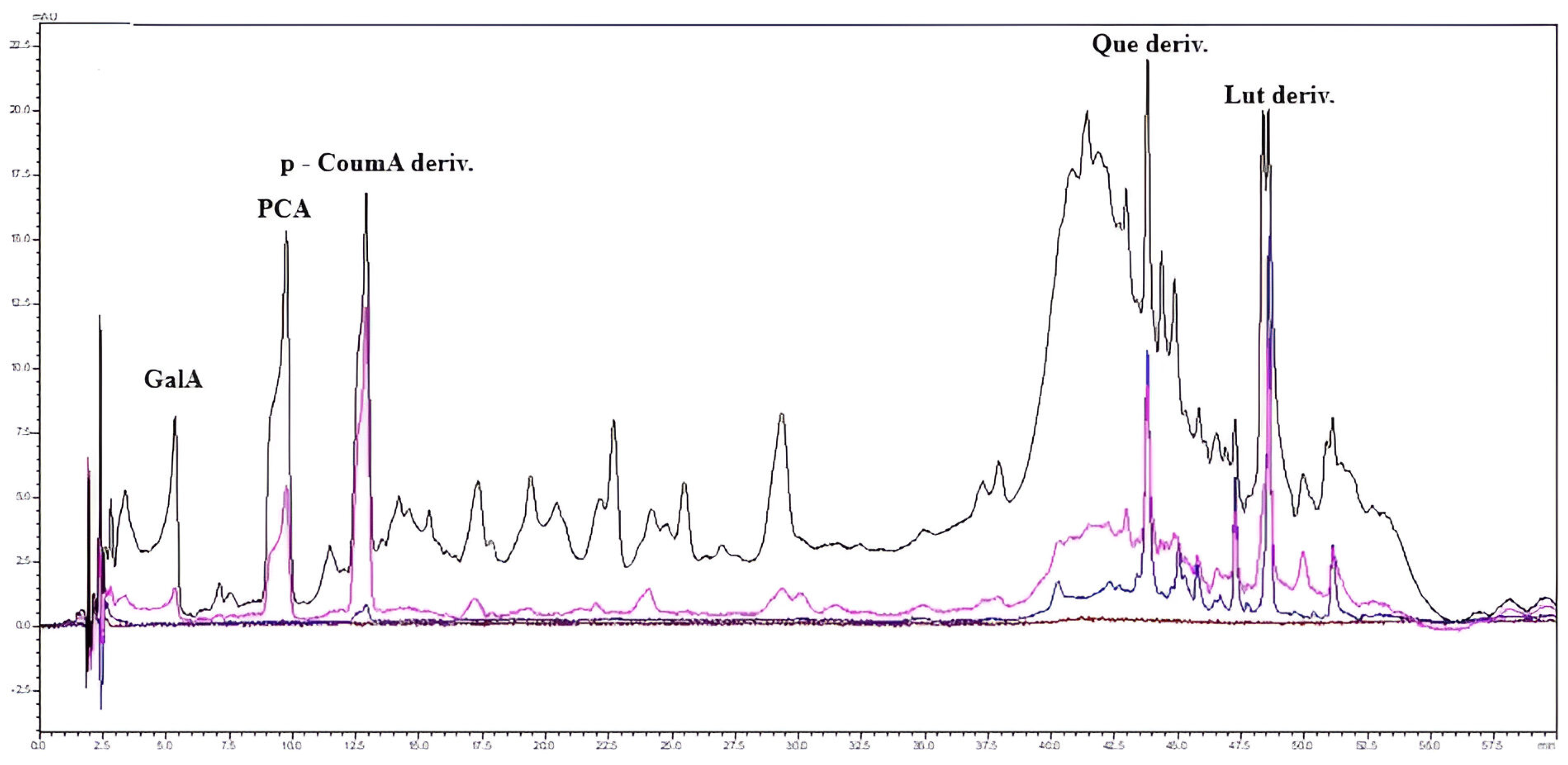 Horticulturae 10 00826 g006 Horticulturae 10 00826 g006