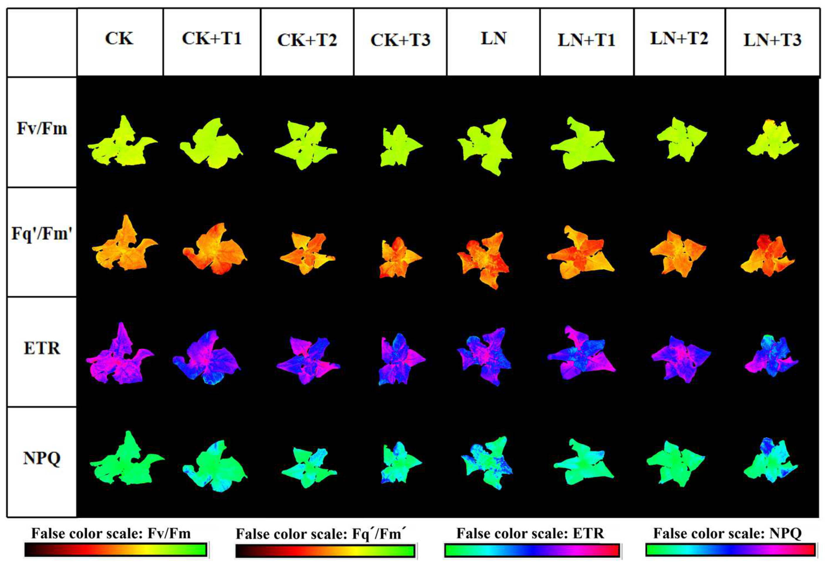 Horticulturae 10 00838 g001