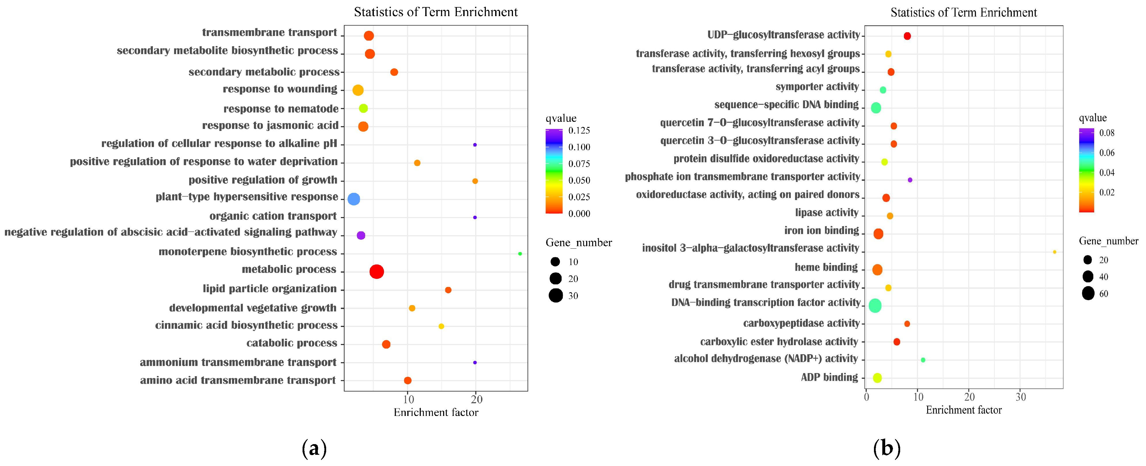 Horticulturae 10 00838 g005