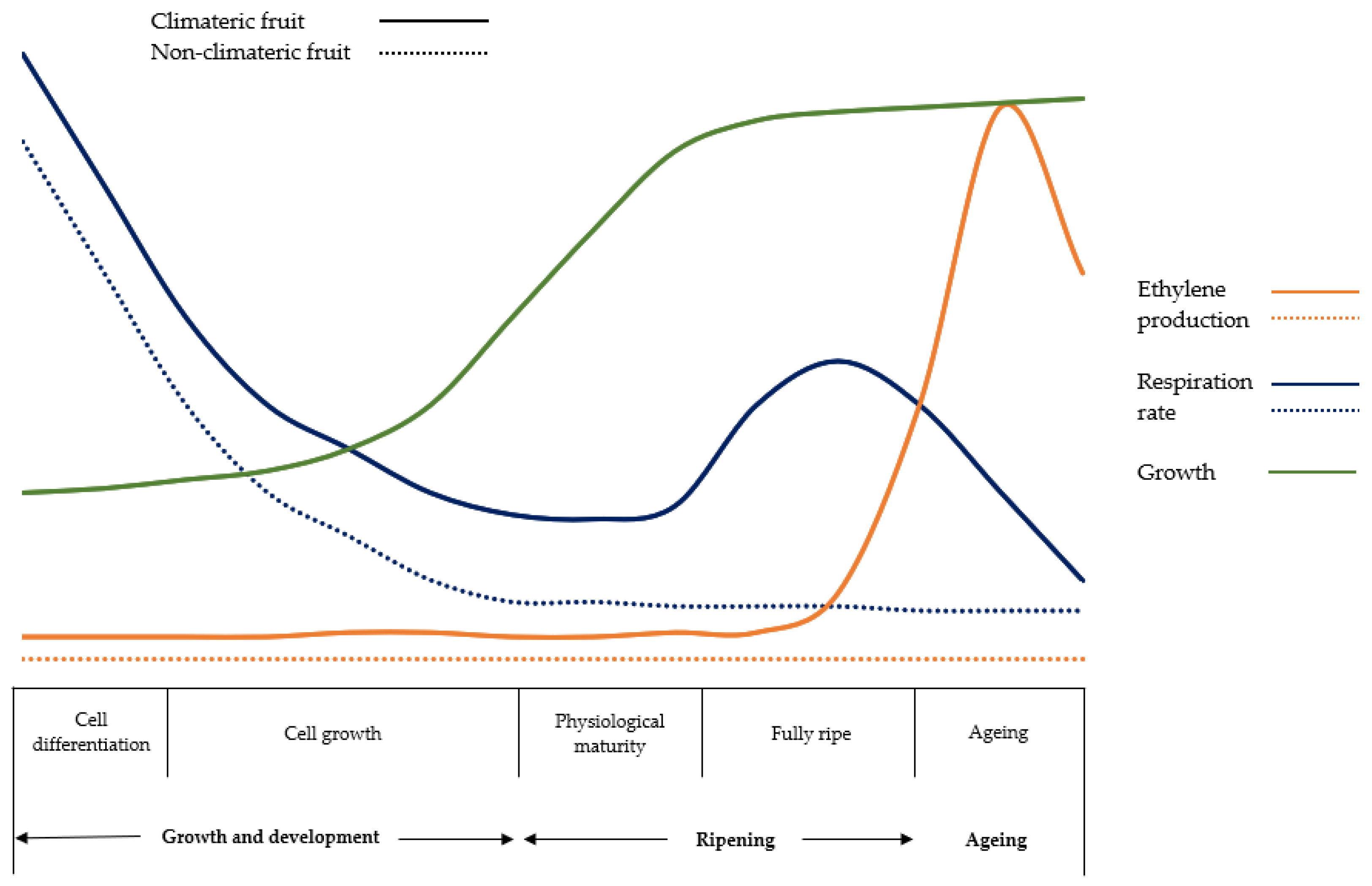 Horticulturae 10 00840 g001