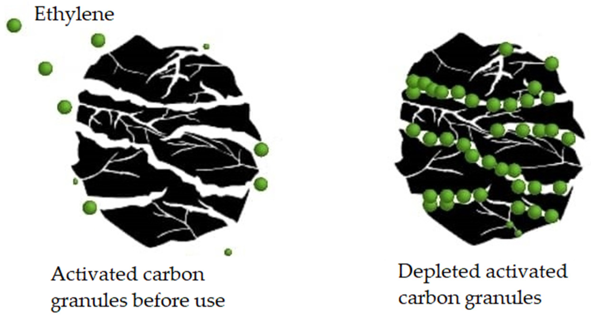 Horticulturae 10 00840 g010