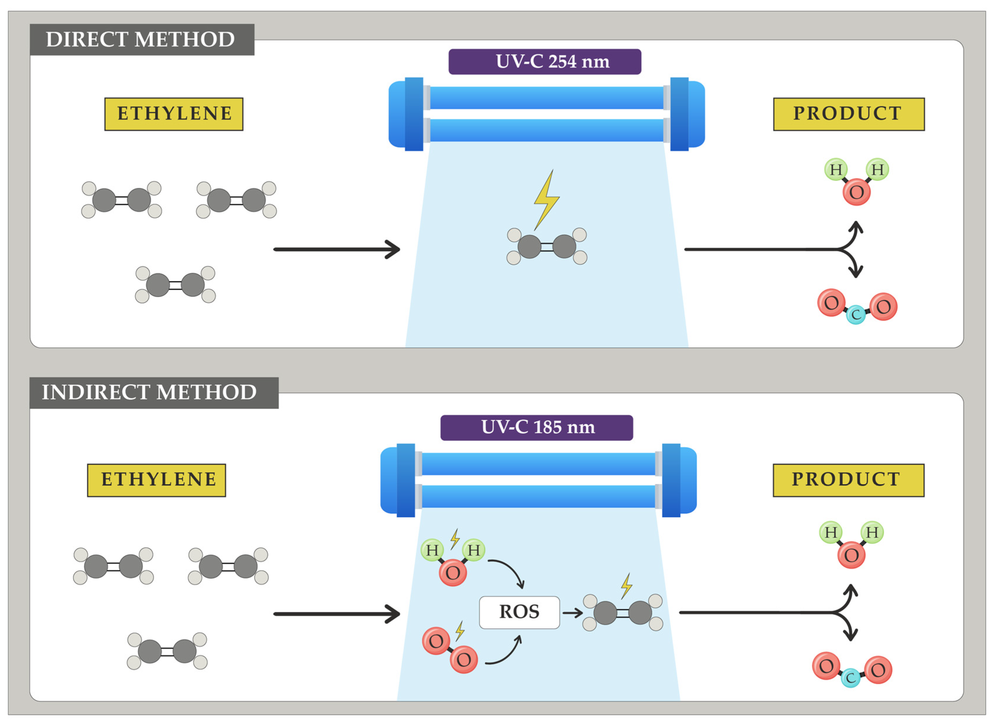 Horticulturae 10 00840 g011