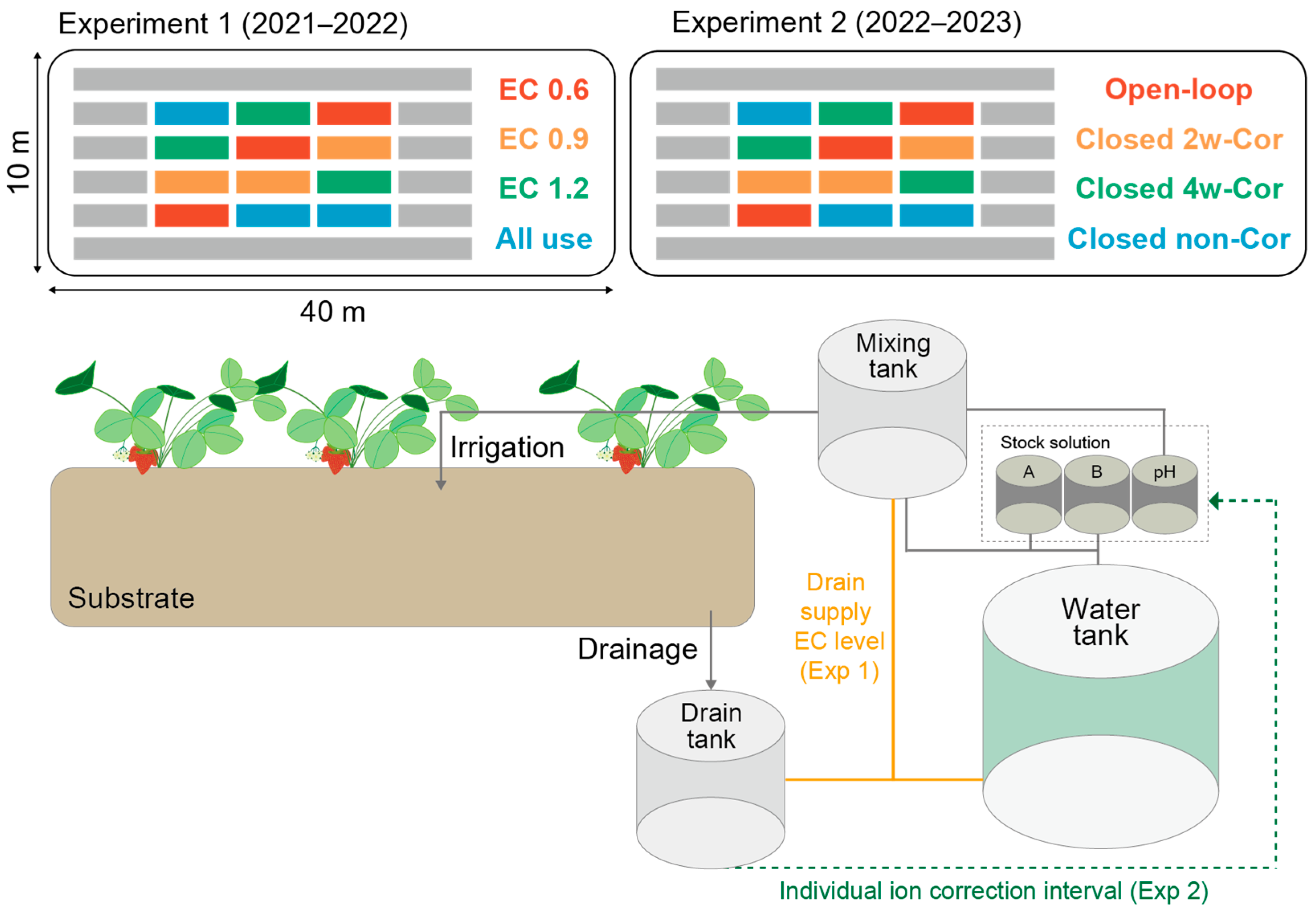 Horticulturae 10 00851 g001