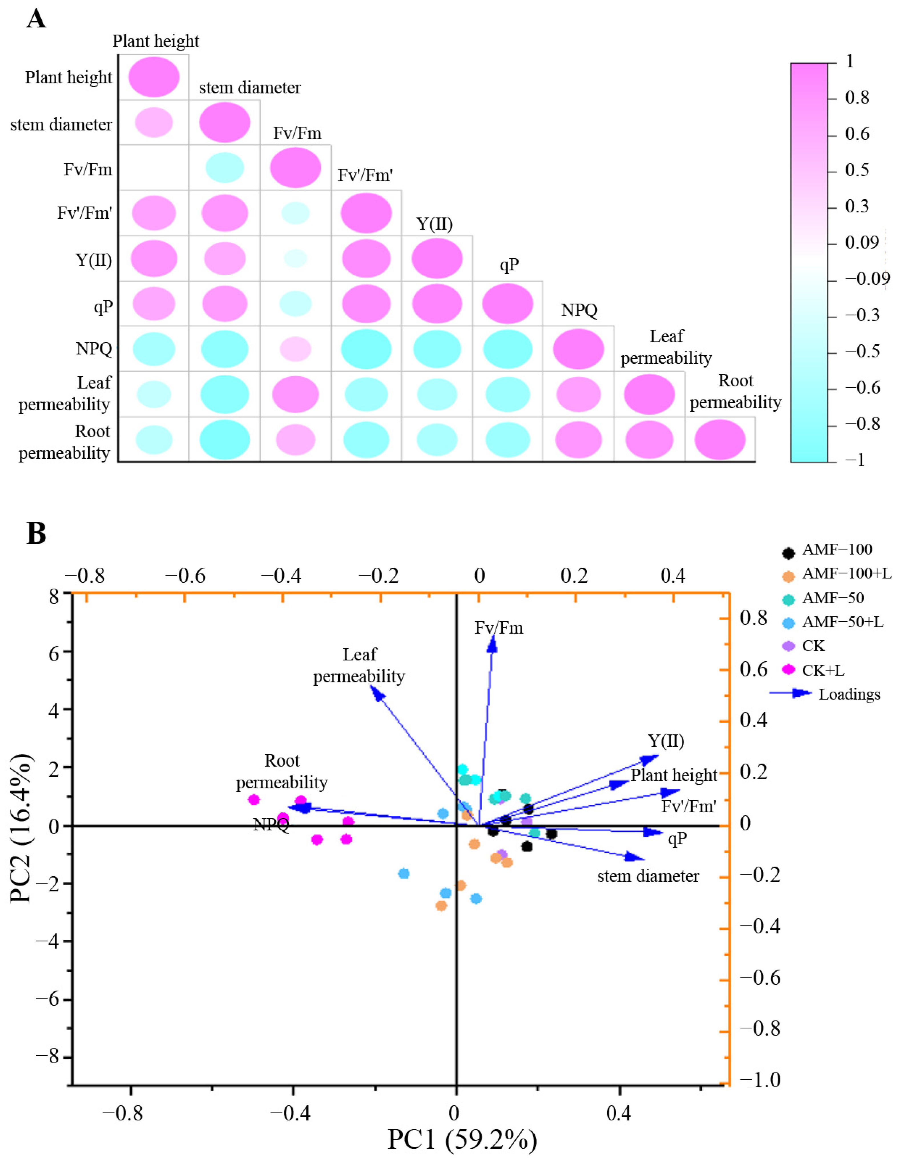 Horticulturae 10 00856 g007