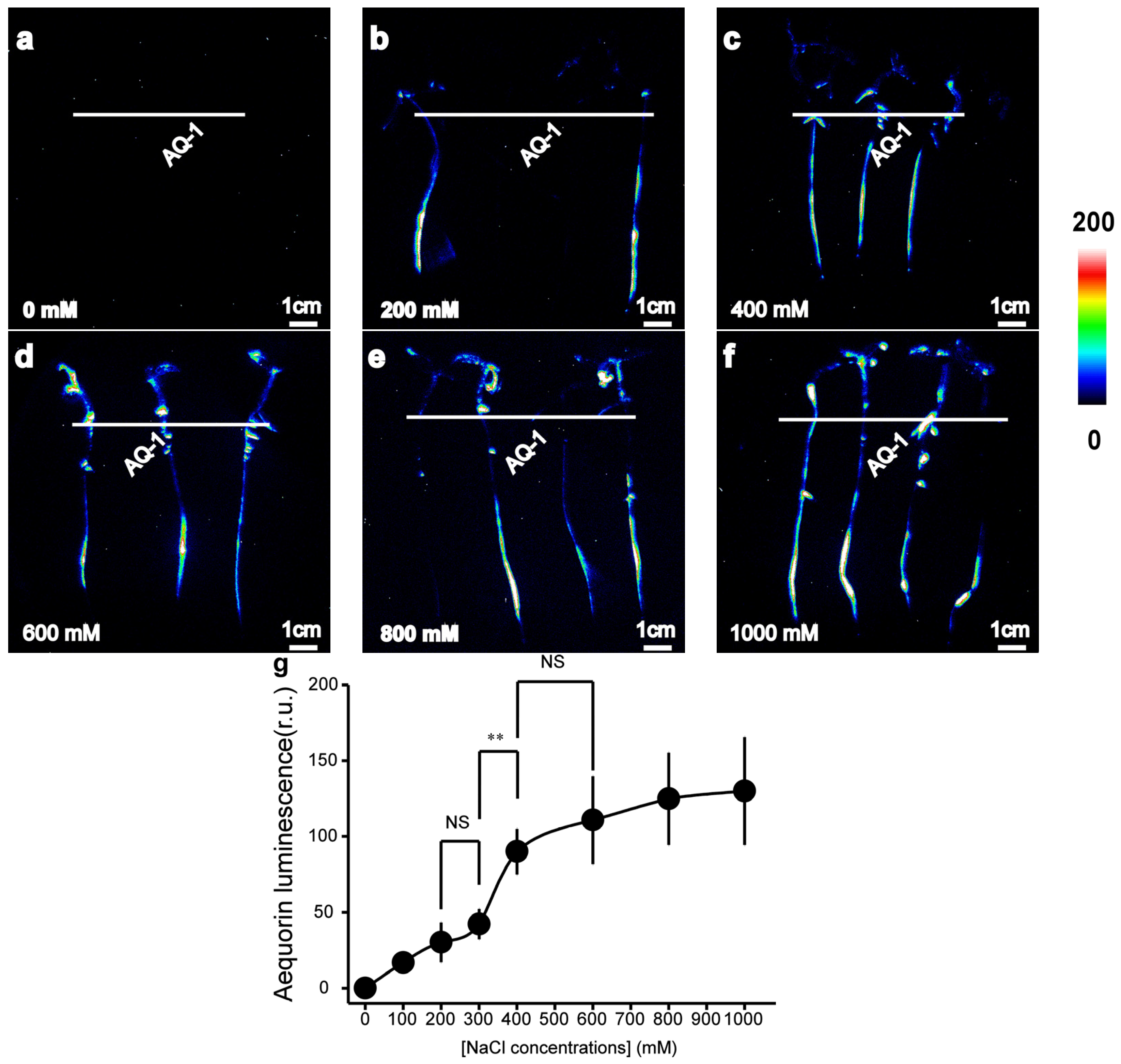 Horticulturae 10 00857 g002