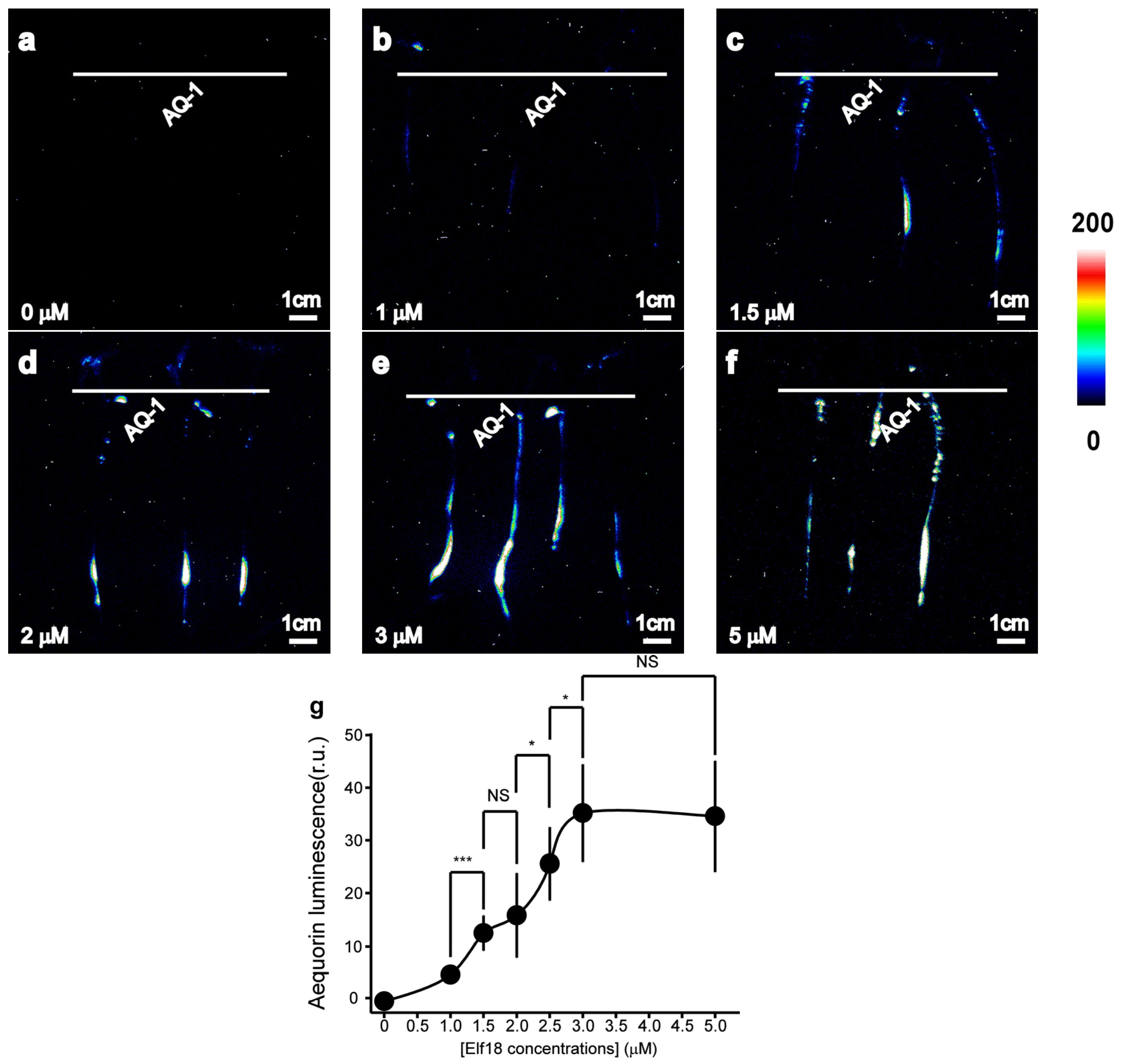 Horticulturae 10 00857 g003