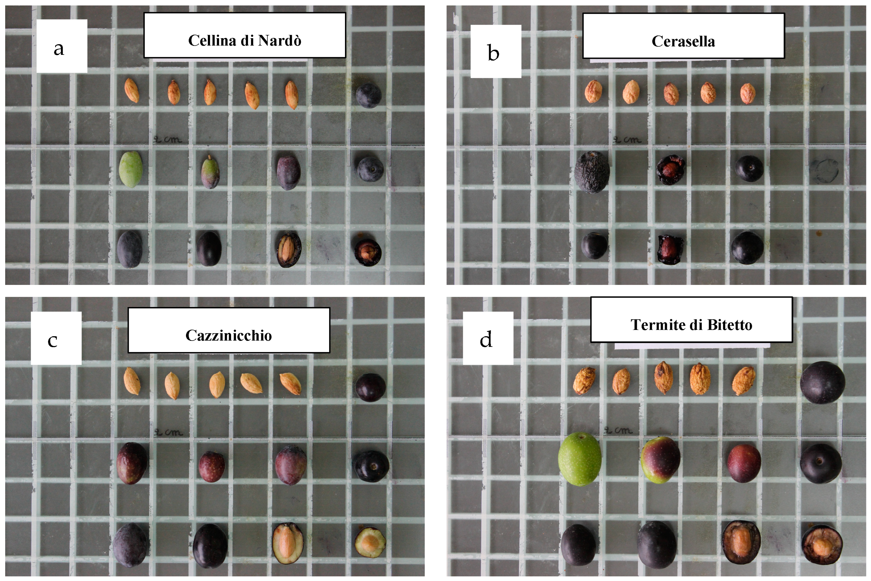 Horticulturae 10 00861 g002a