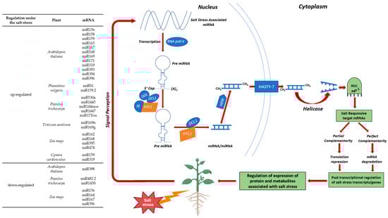 Horticulturae 10 00878 g005