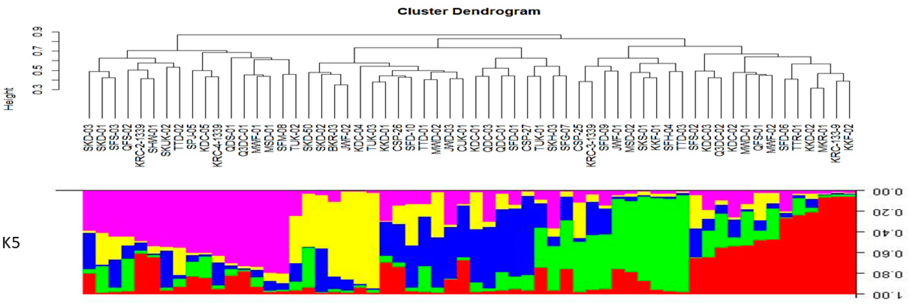 Horticulturae 10 00879 g007 Horticulturae 10 00879 g007