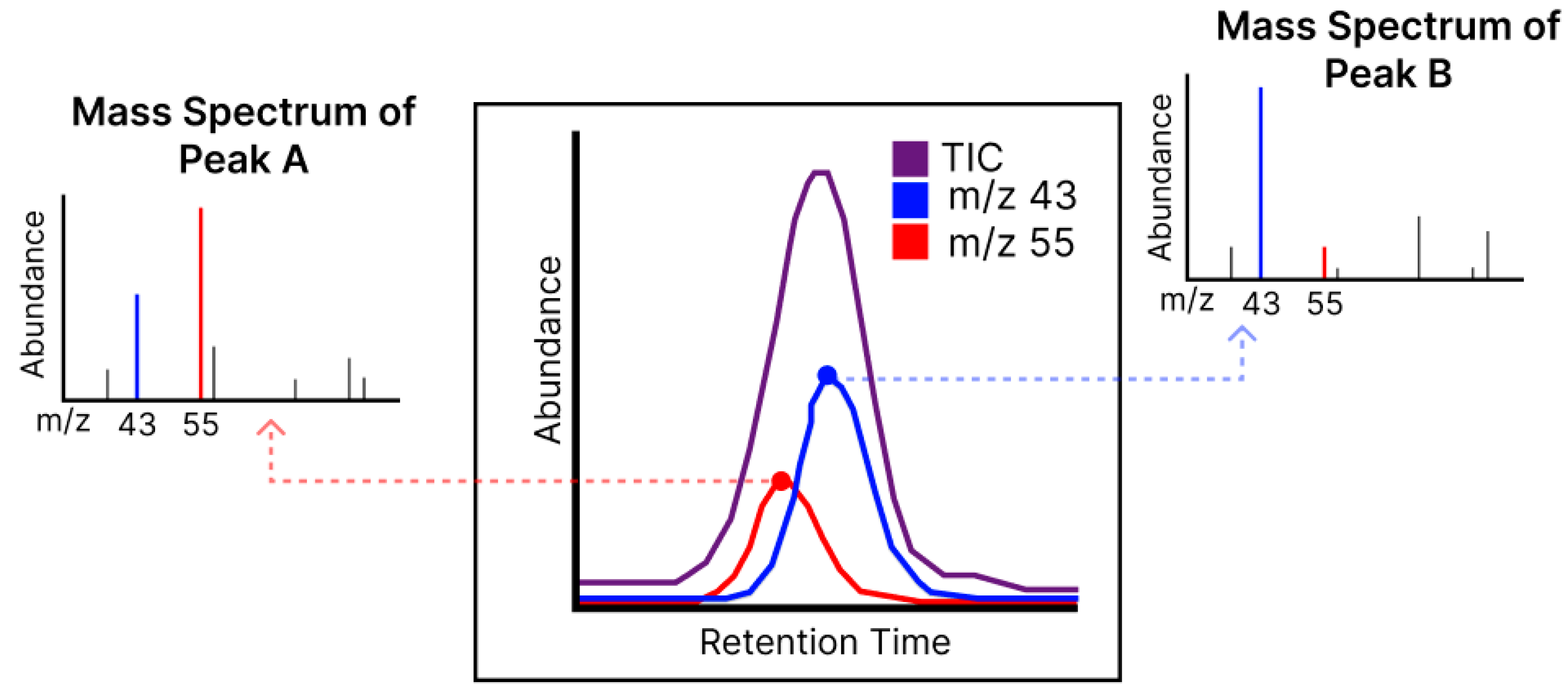 Horticulturae 10 00882 g001