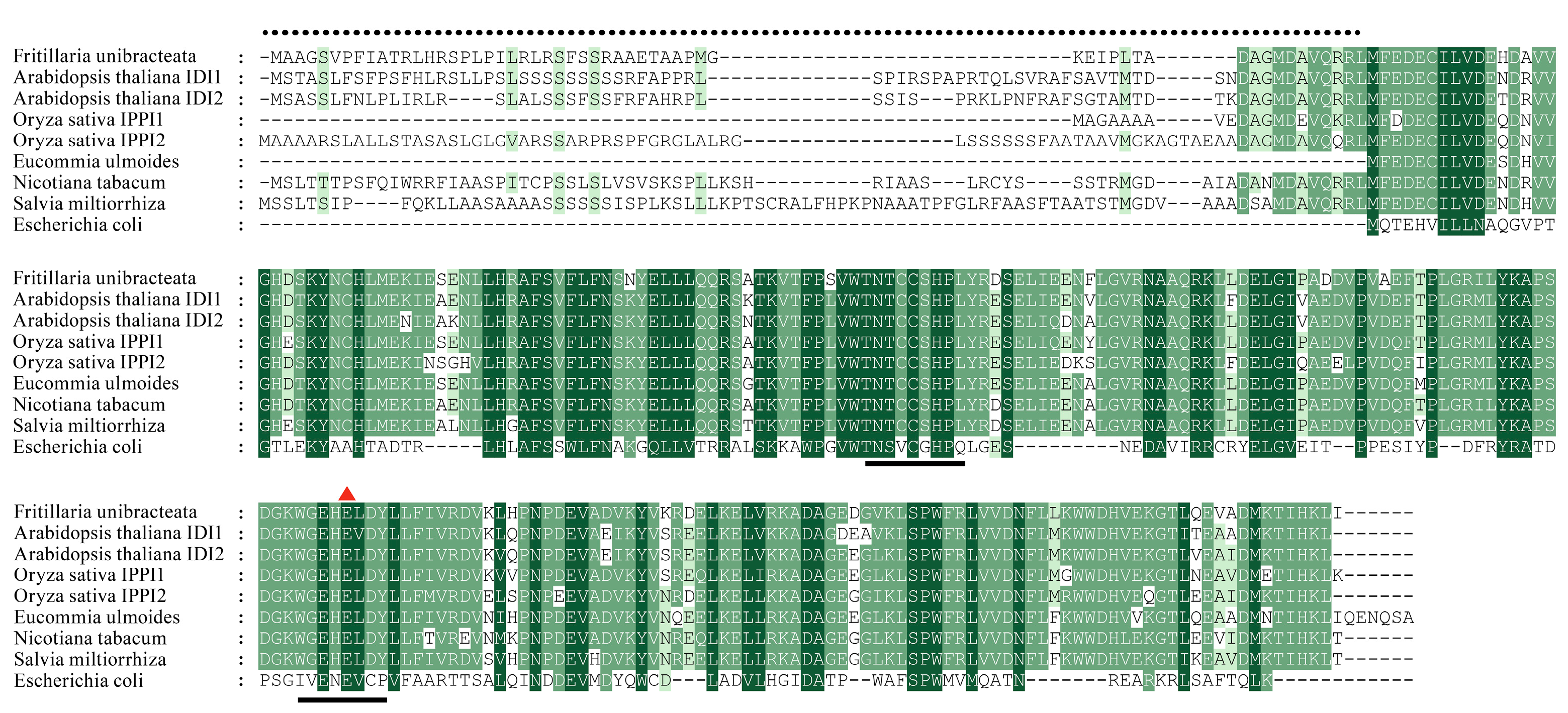 Horticulturae 10 00887 g001