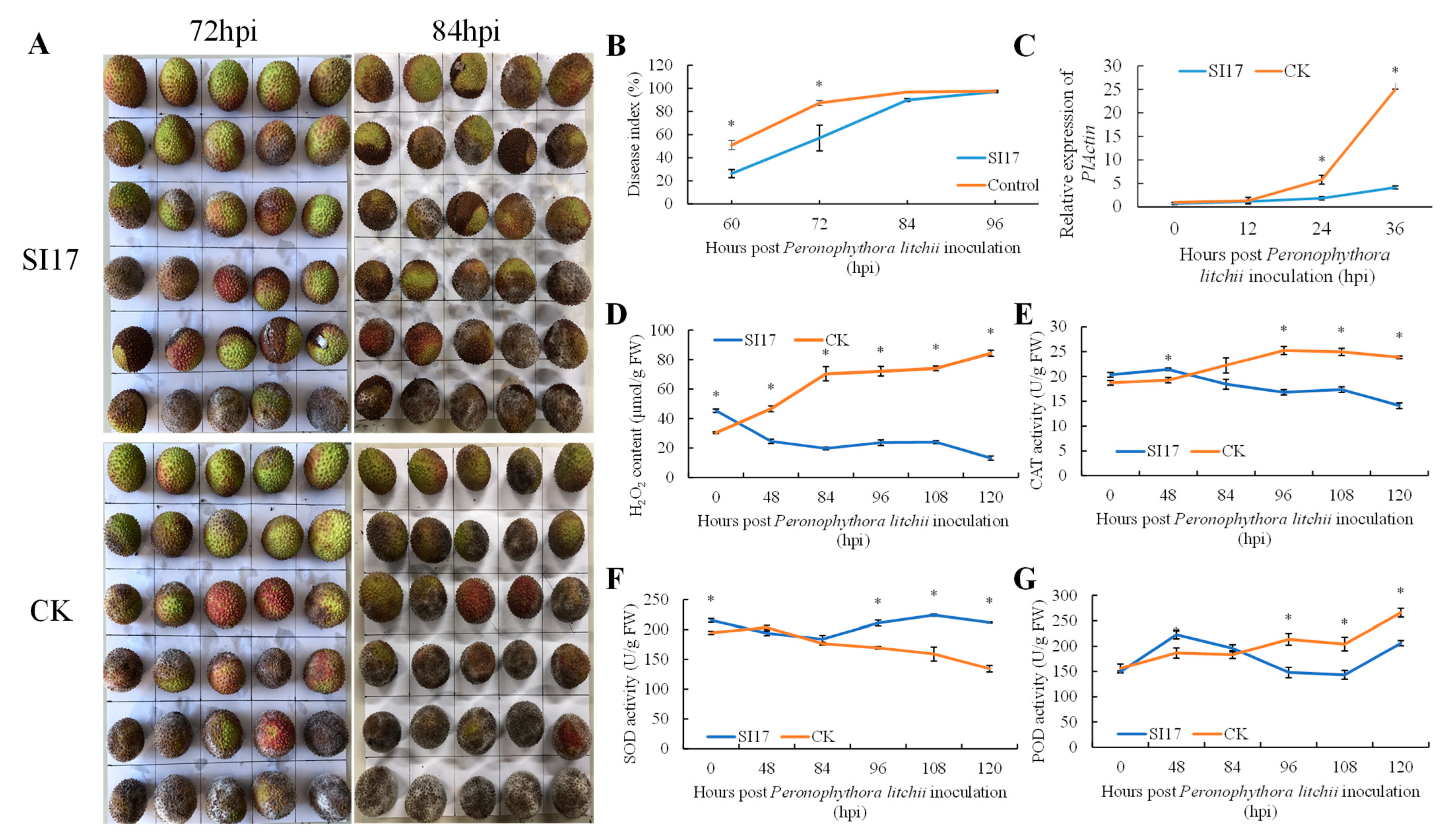 Horticulturae 10 00888 g003