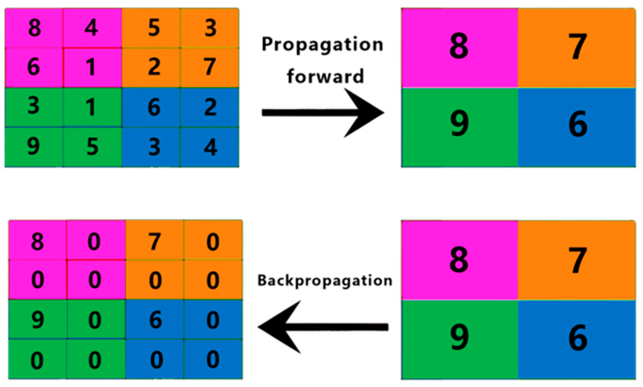 Horticulturae 10 00899 g006