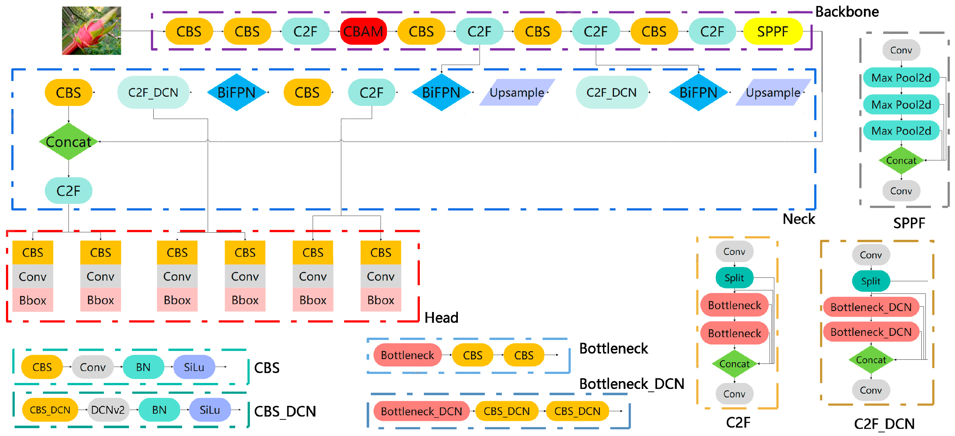 Horticulturae 10 00899 g013