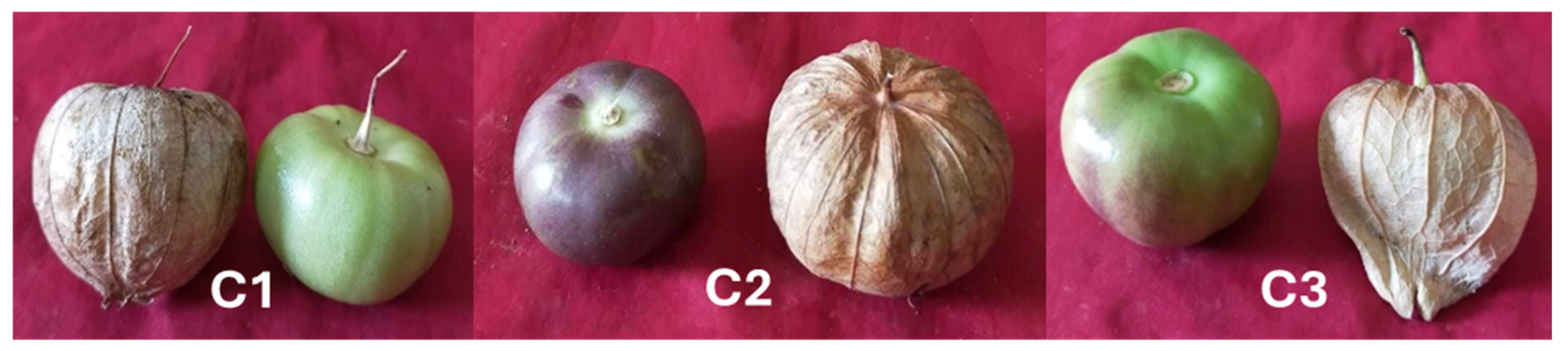 Horticulturae 10 00913 g001