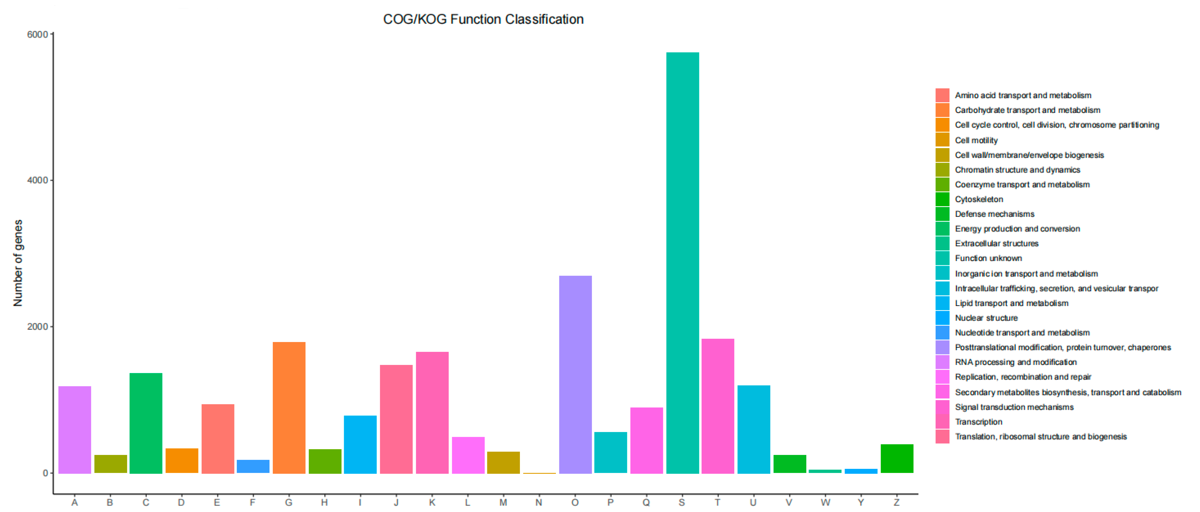 Horticulturae 10 00914 g004
