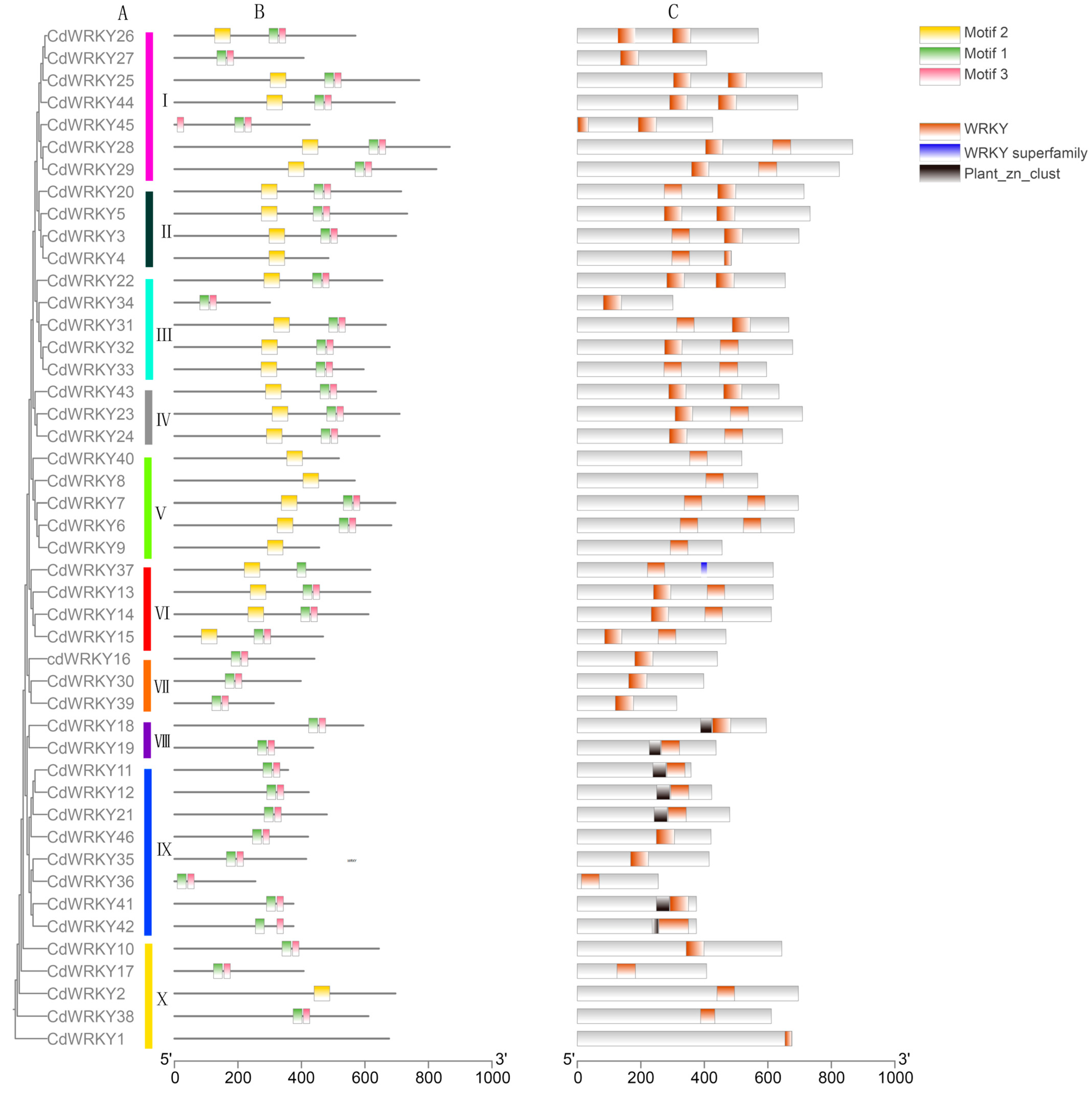 Horticulturae 10 00914 g010