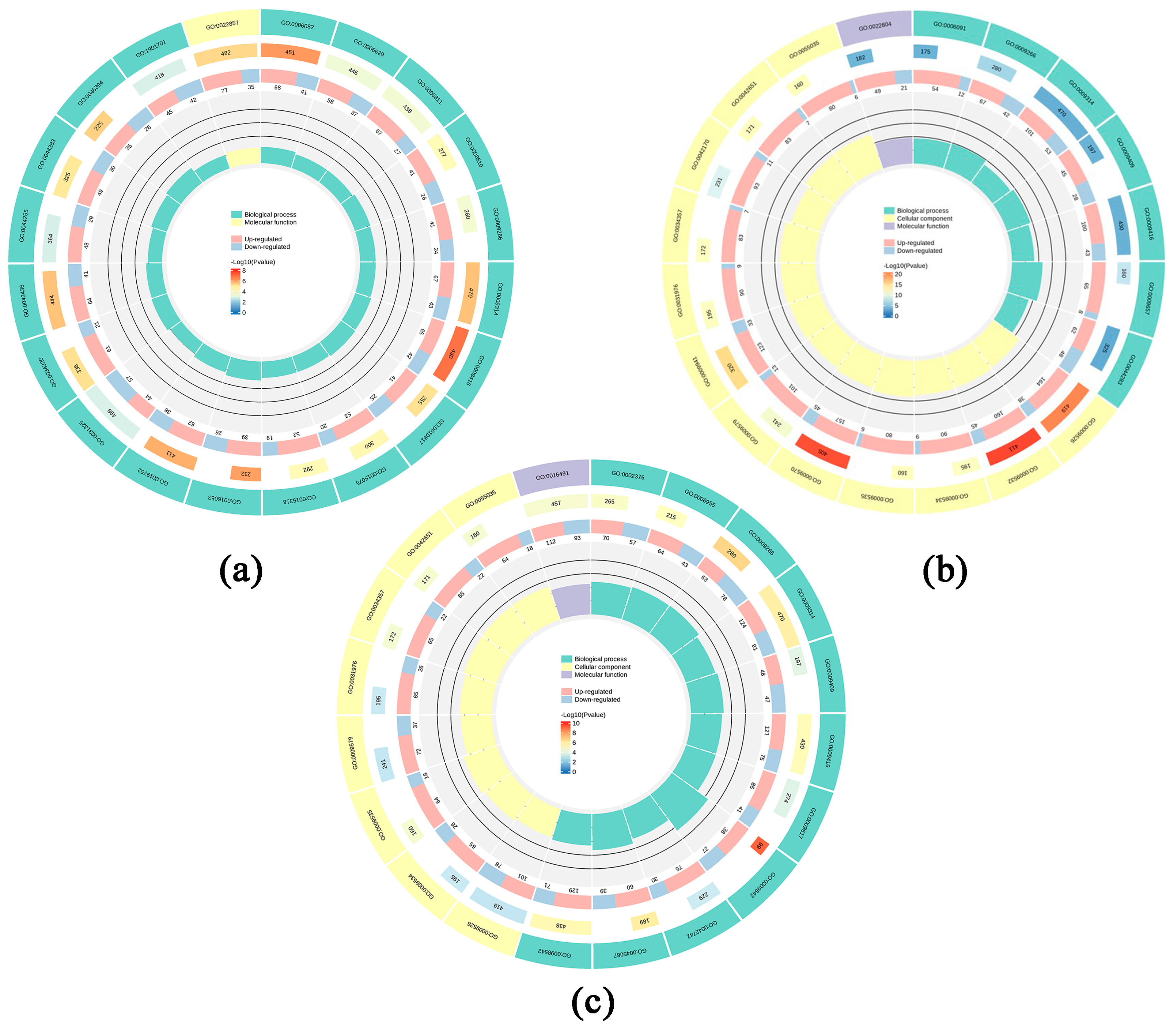 Horticulturae 10 00914 g015