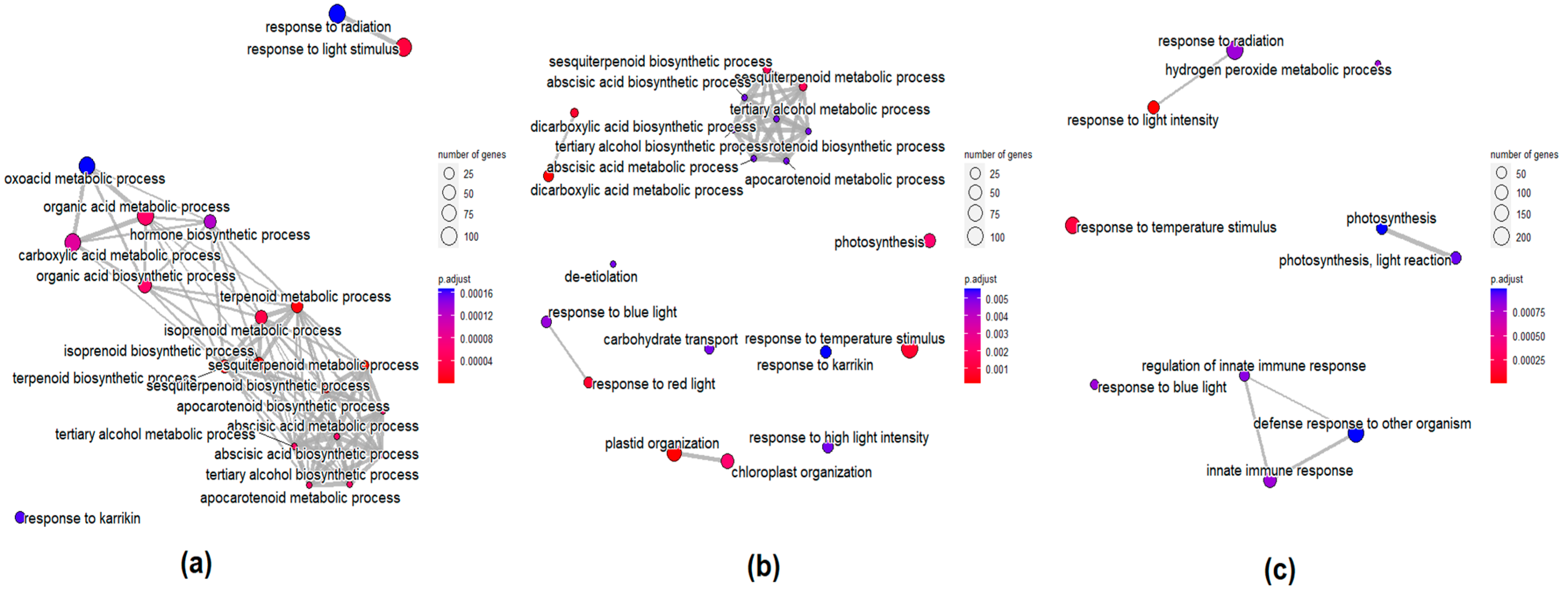 Horticulturae 10 00914 g016