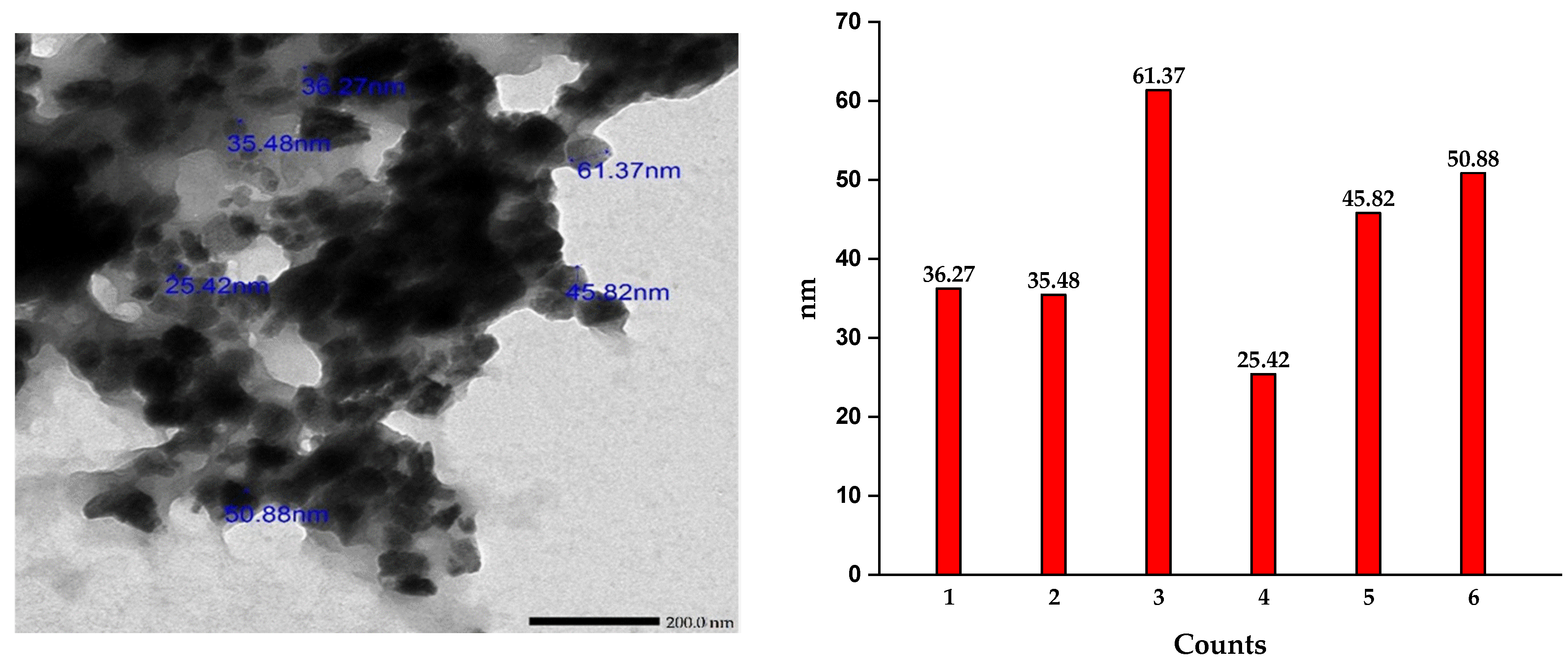 Horticulturae 10 00915 g001