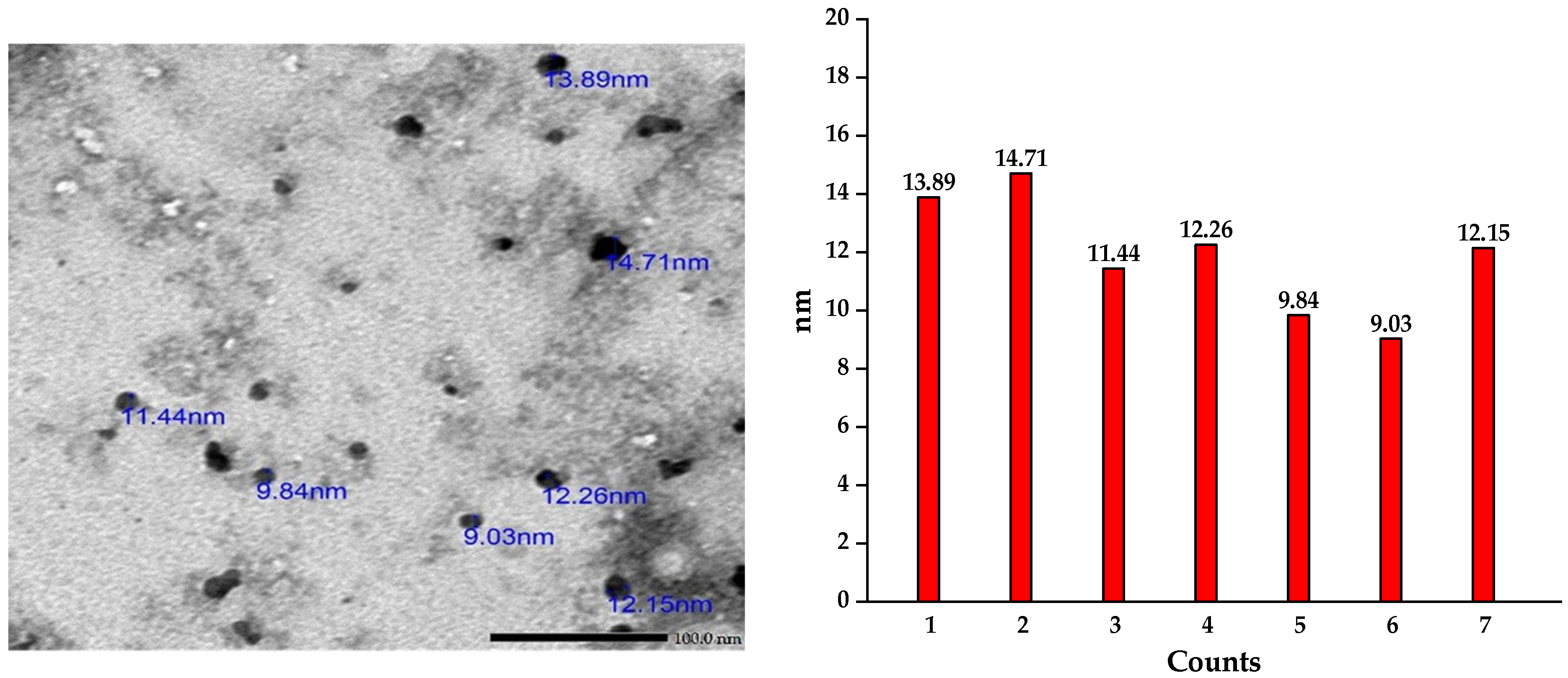 Horticulturae 10 00915 g002
