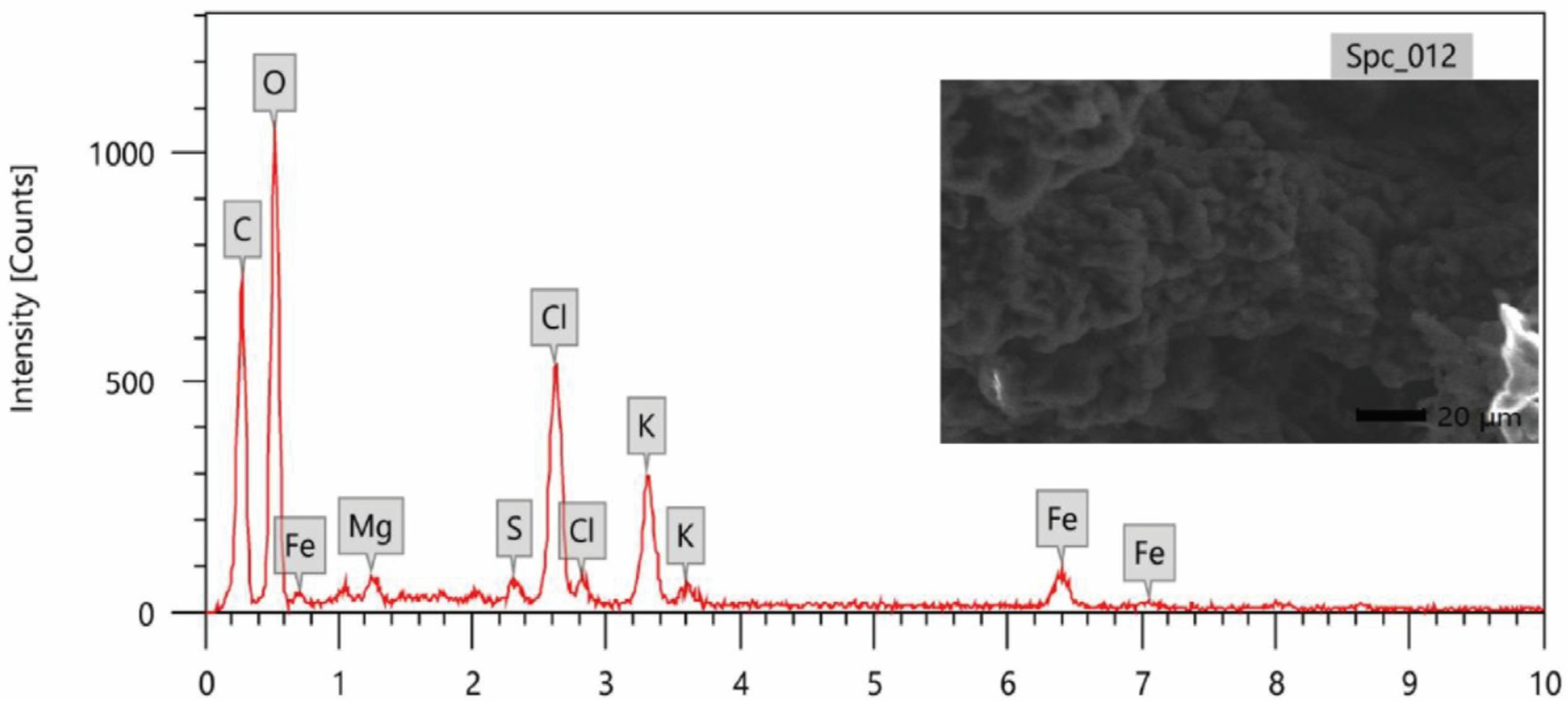 Horticulturae 10 00915 g004