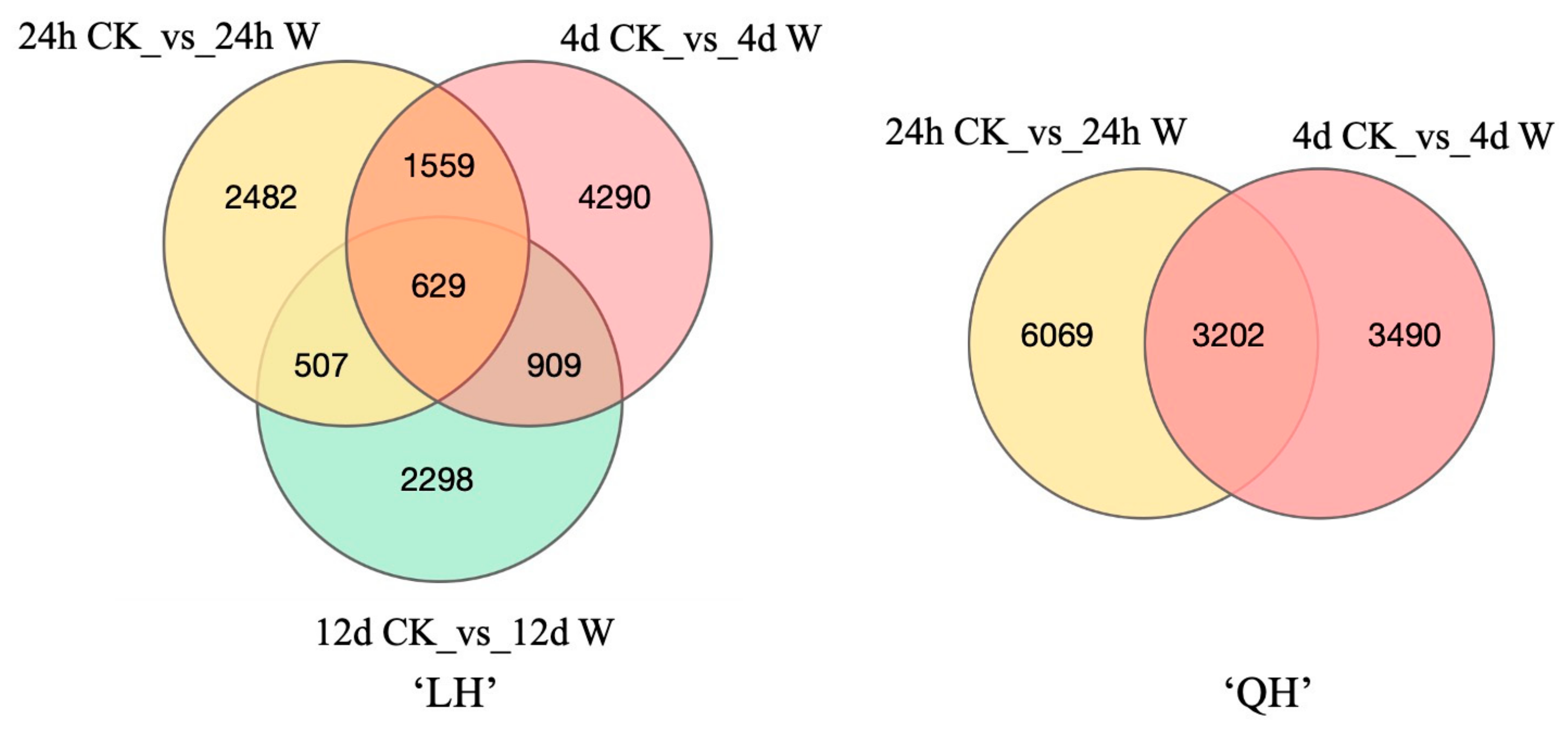 Horticulturae 10 00928 g004