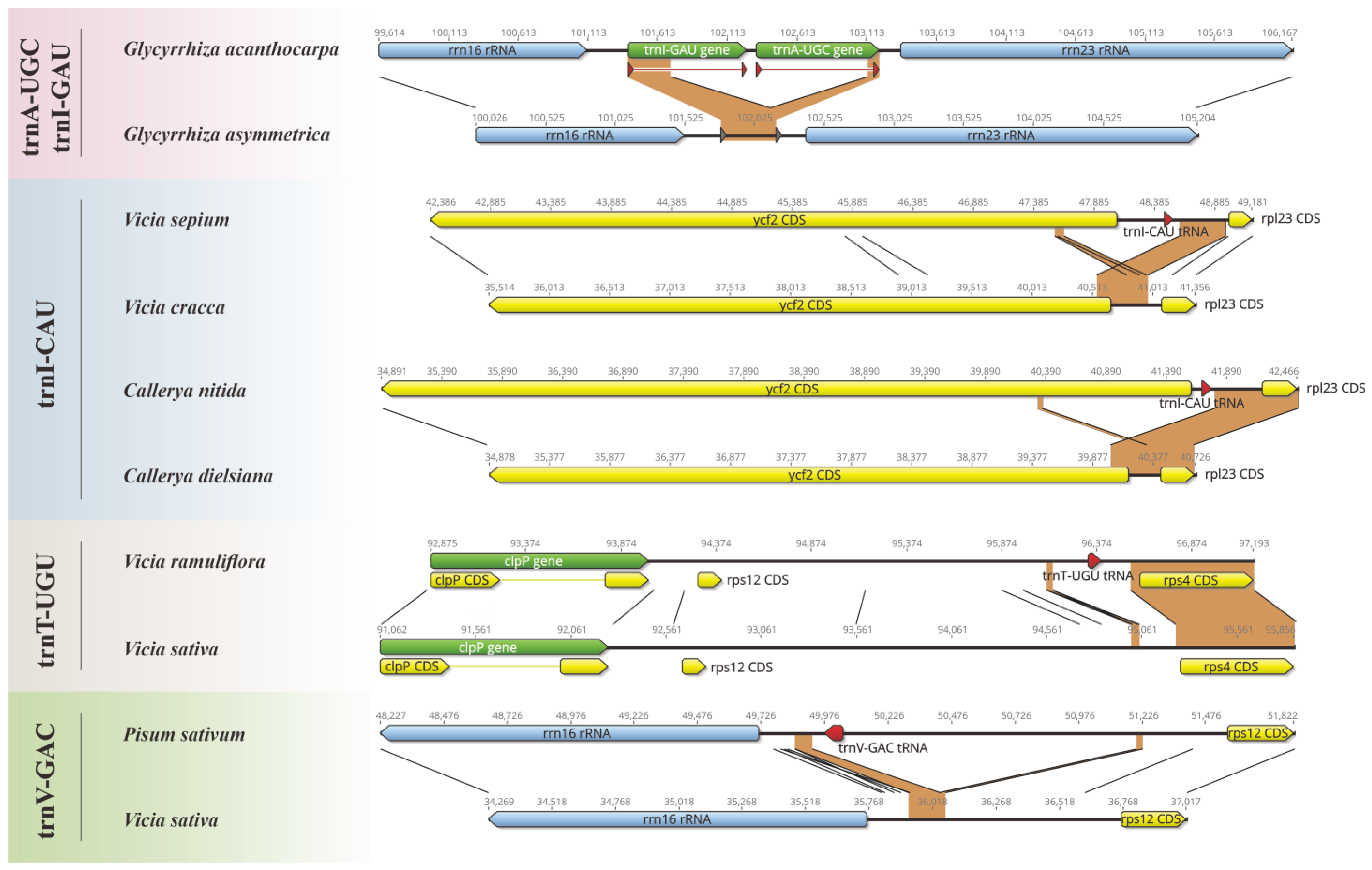Horticulturae 10 00932 g001