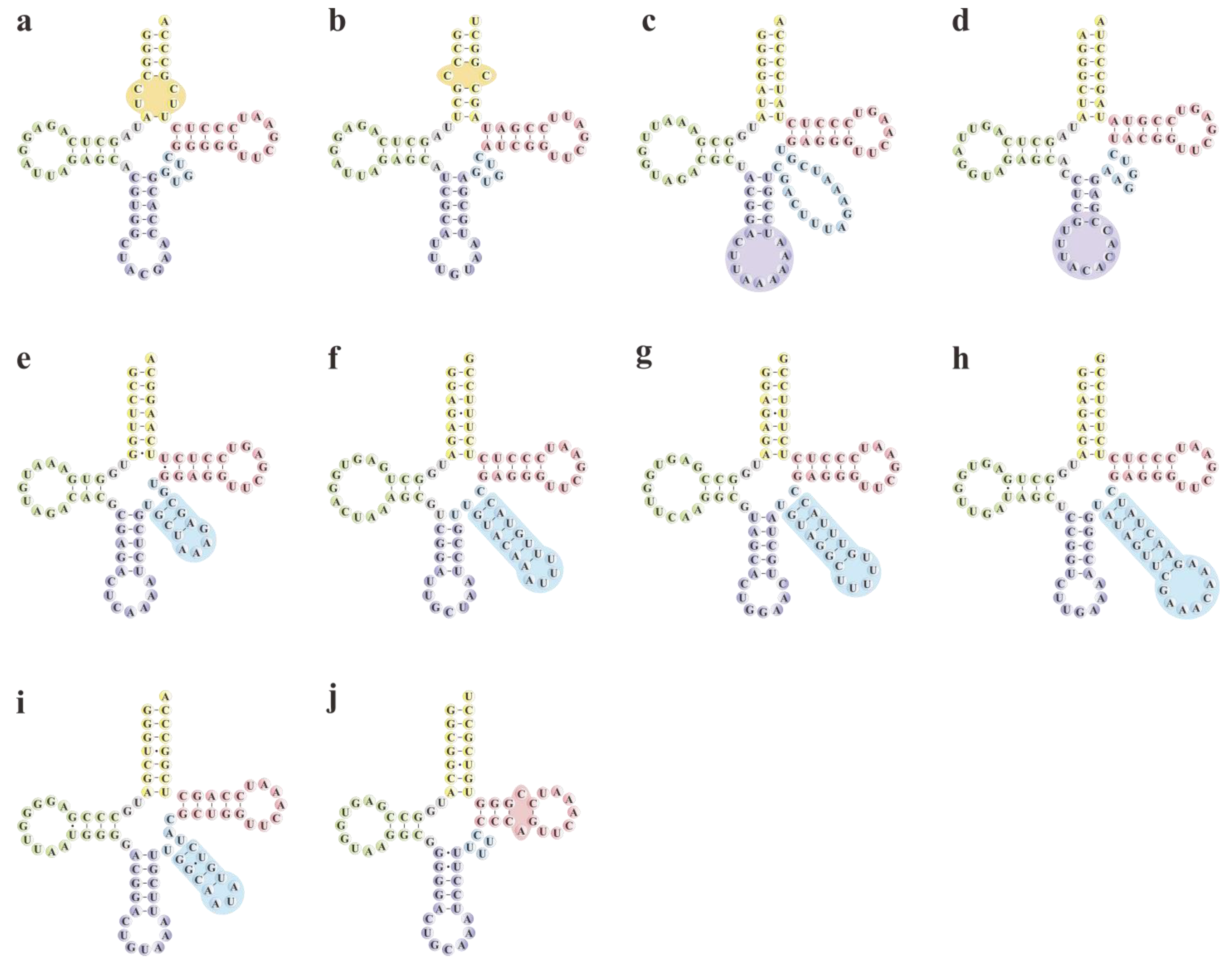 Horticulturae 10 00932 g005