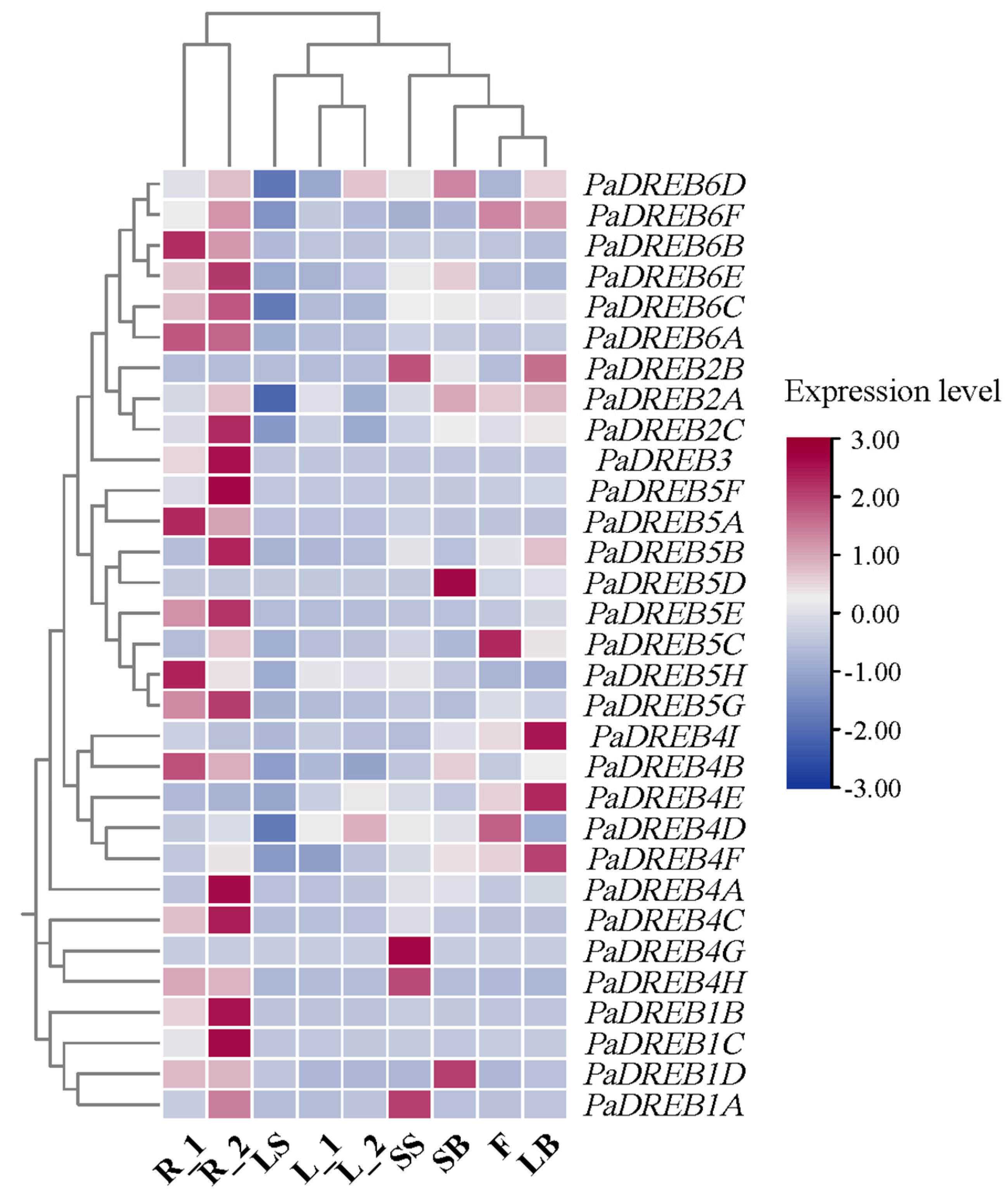 Horticulturae 10 00933 g002