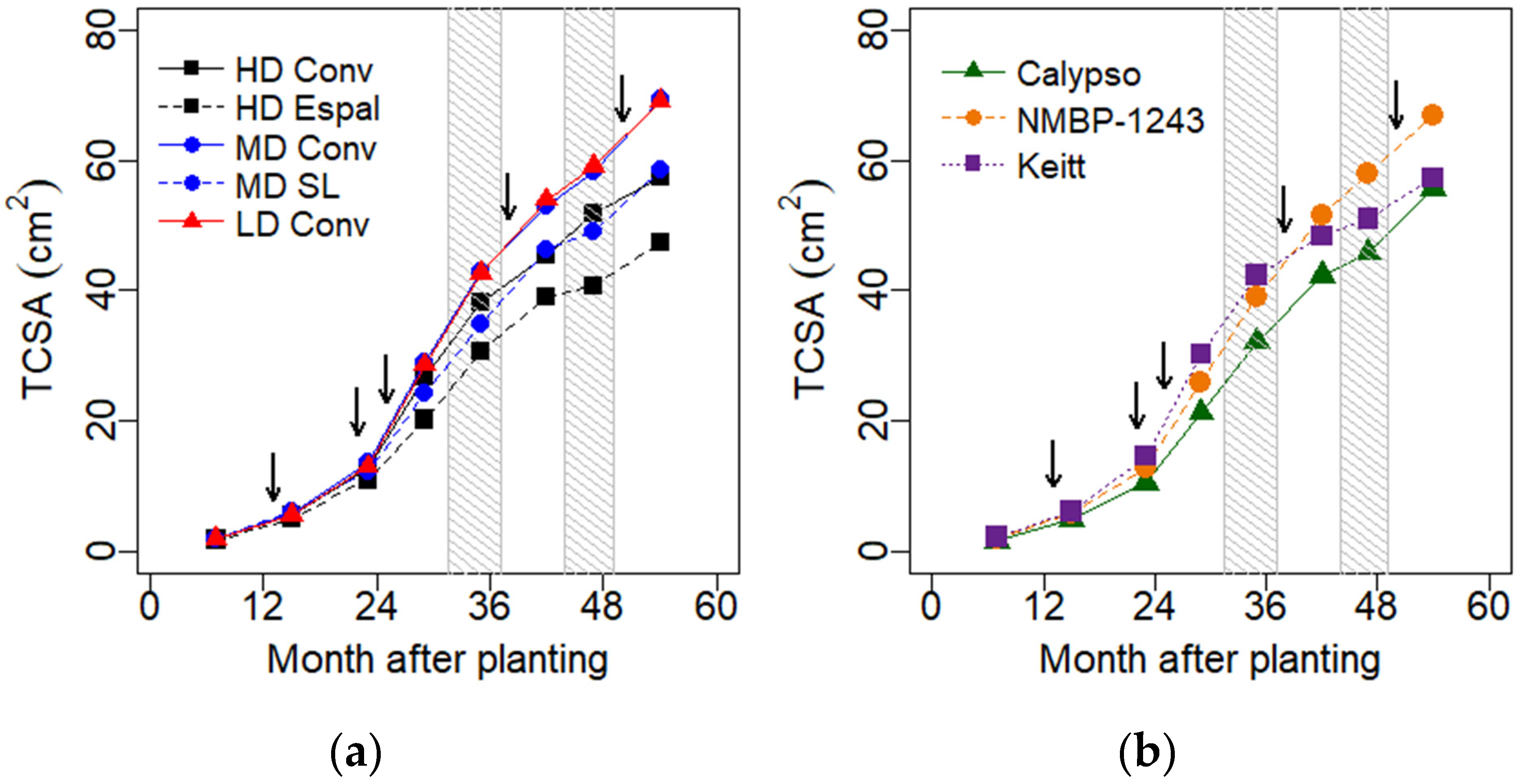 Horticulturae 10 00937 g003