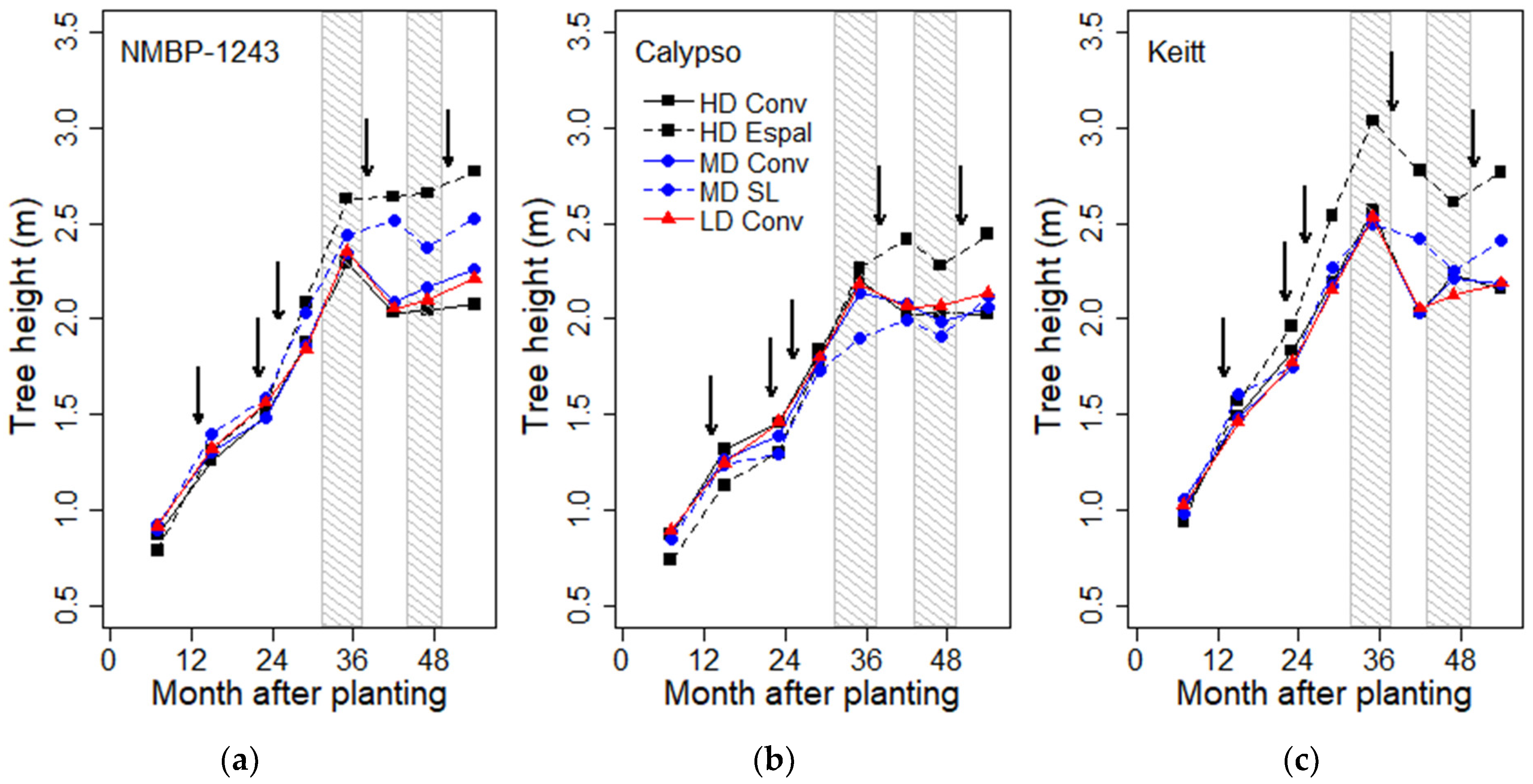 Horticulturae 10 00937 g004