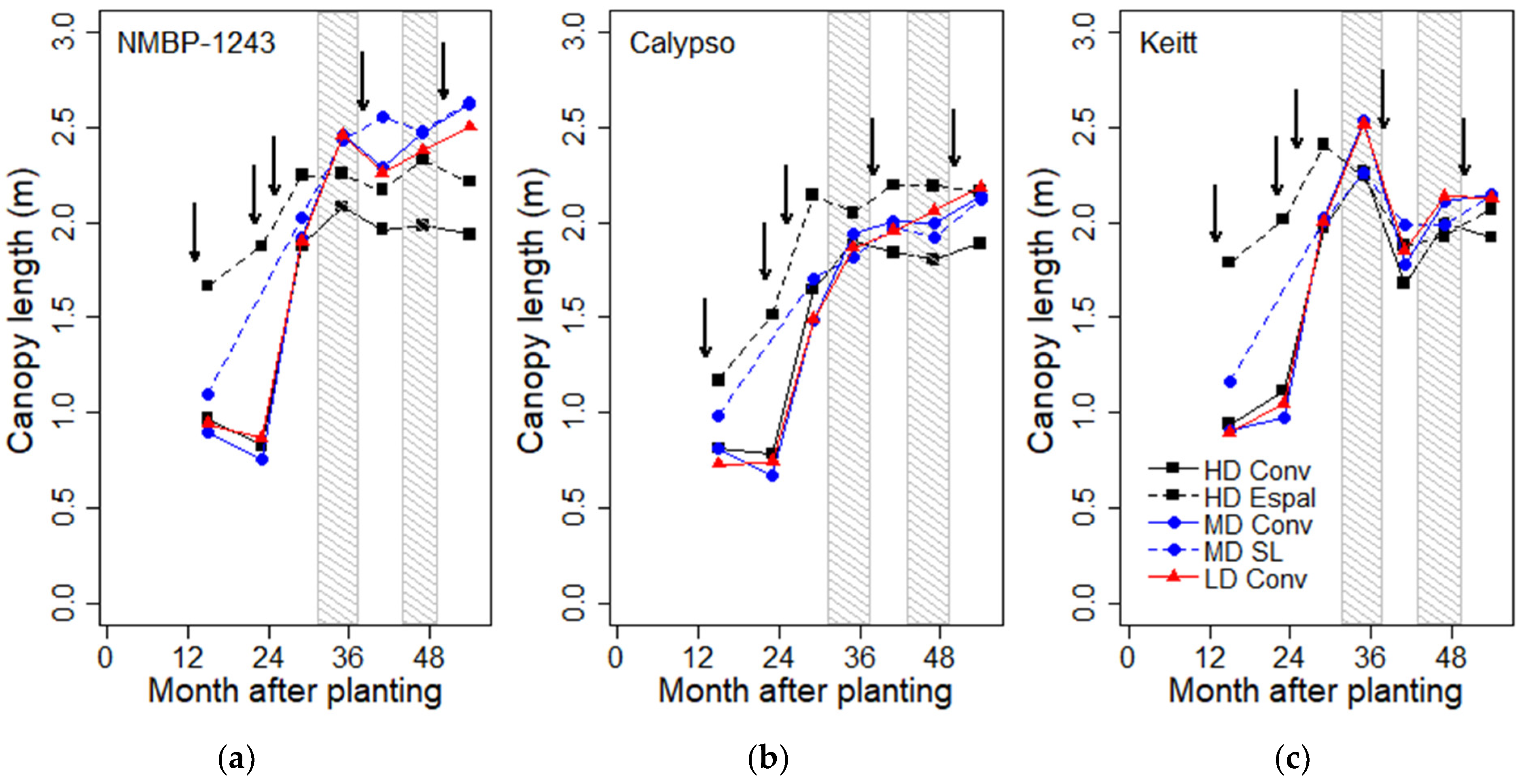 Horticulturae 10 00937 g005