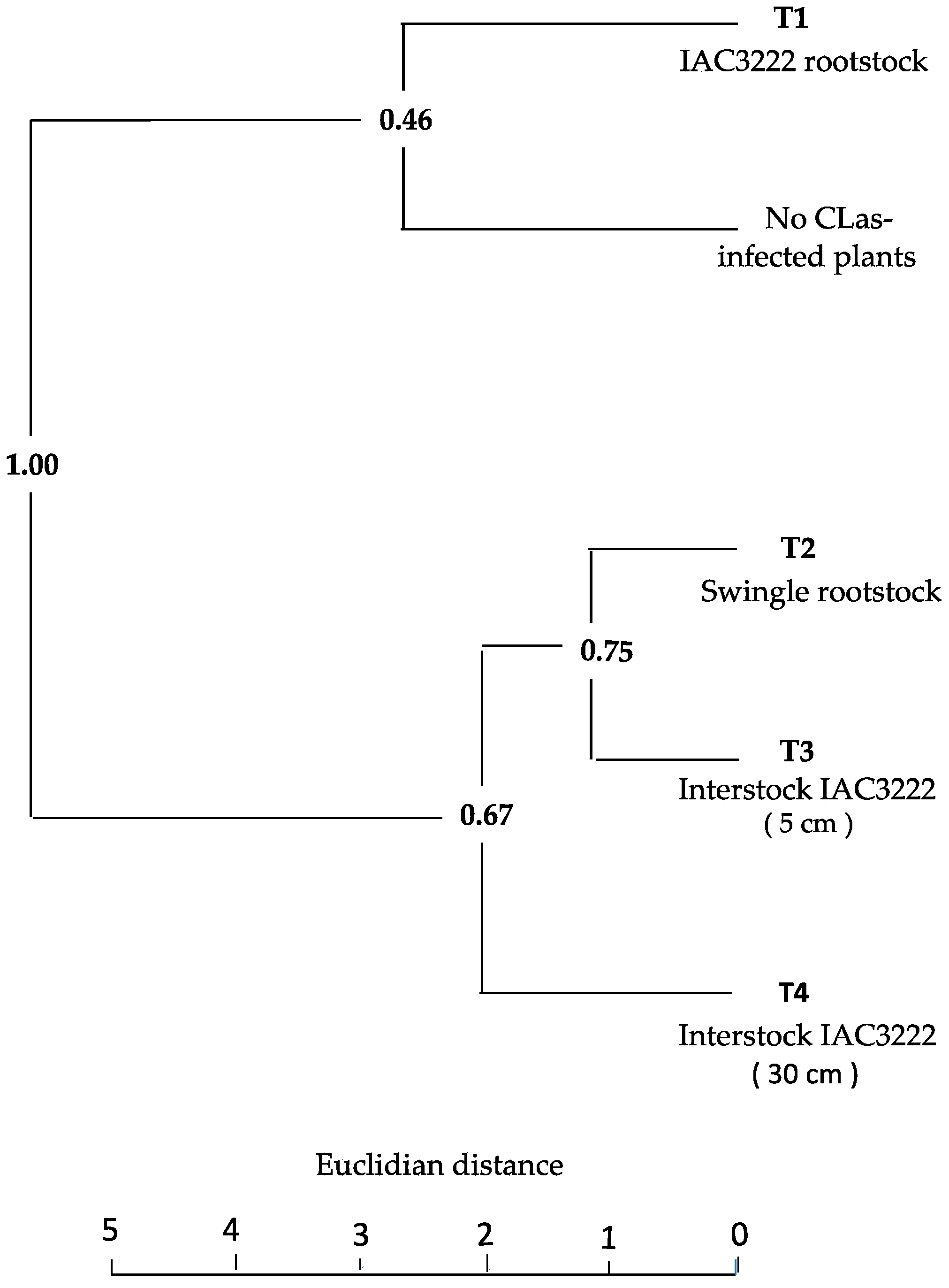 Horticulturae 10 00942 g002